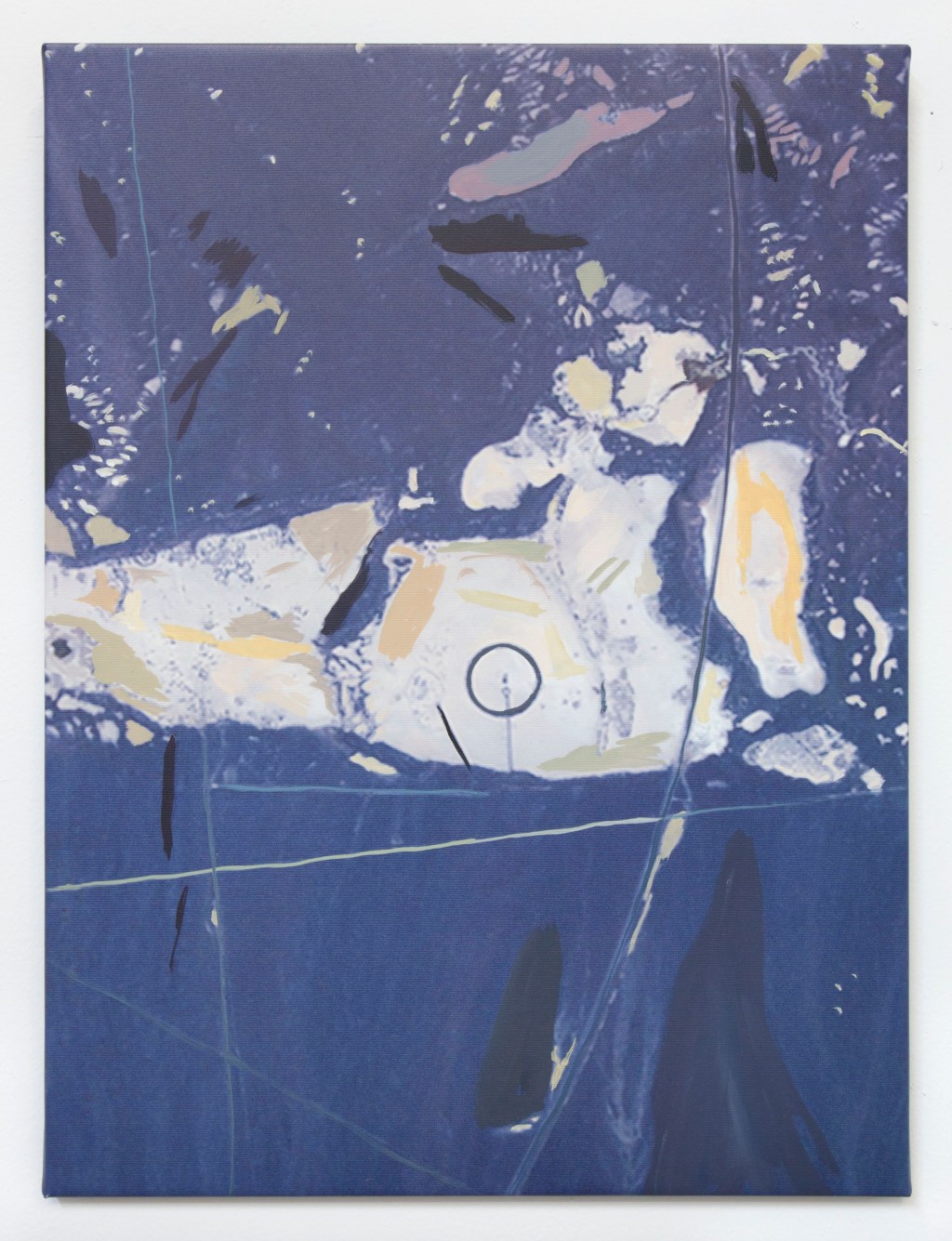 The One Place in the US Google Earth Stopped Mapping