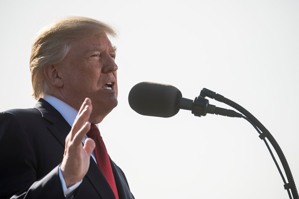 Donald Trump brandishes his tiny hands