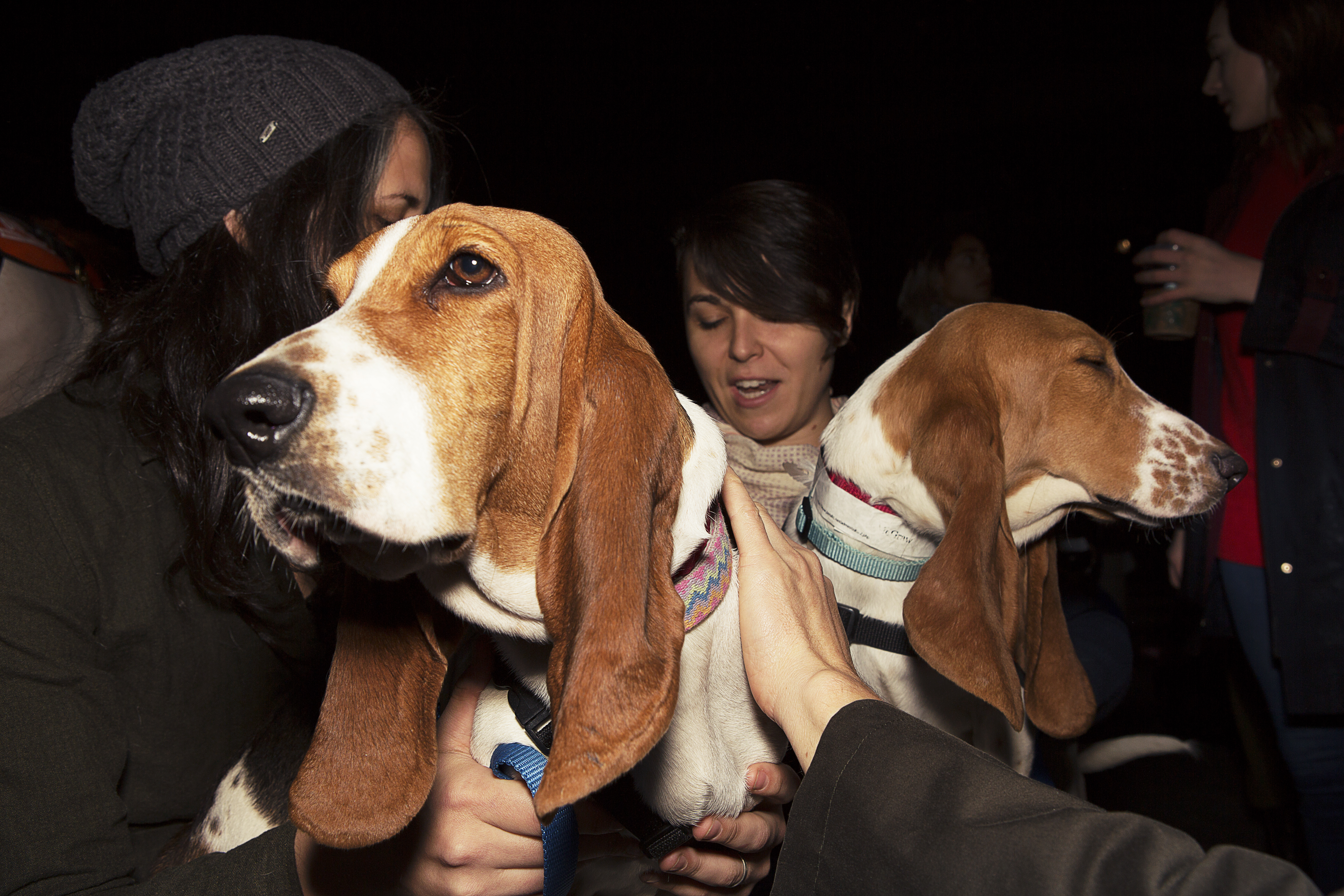 1540784348171-VICE_TaylerSmith_Halloween_2018_3