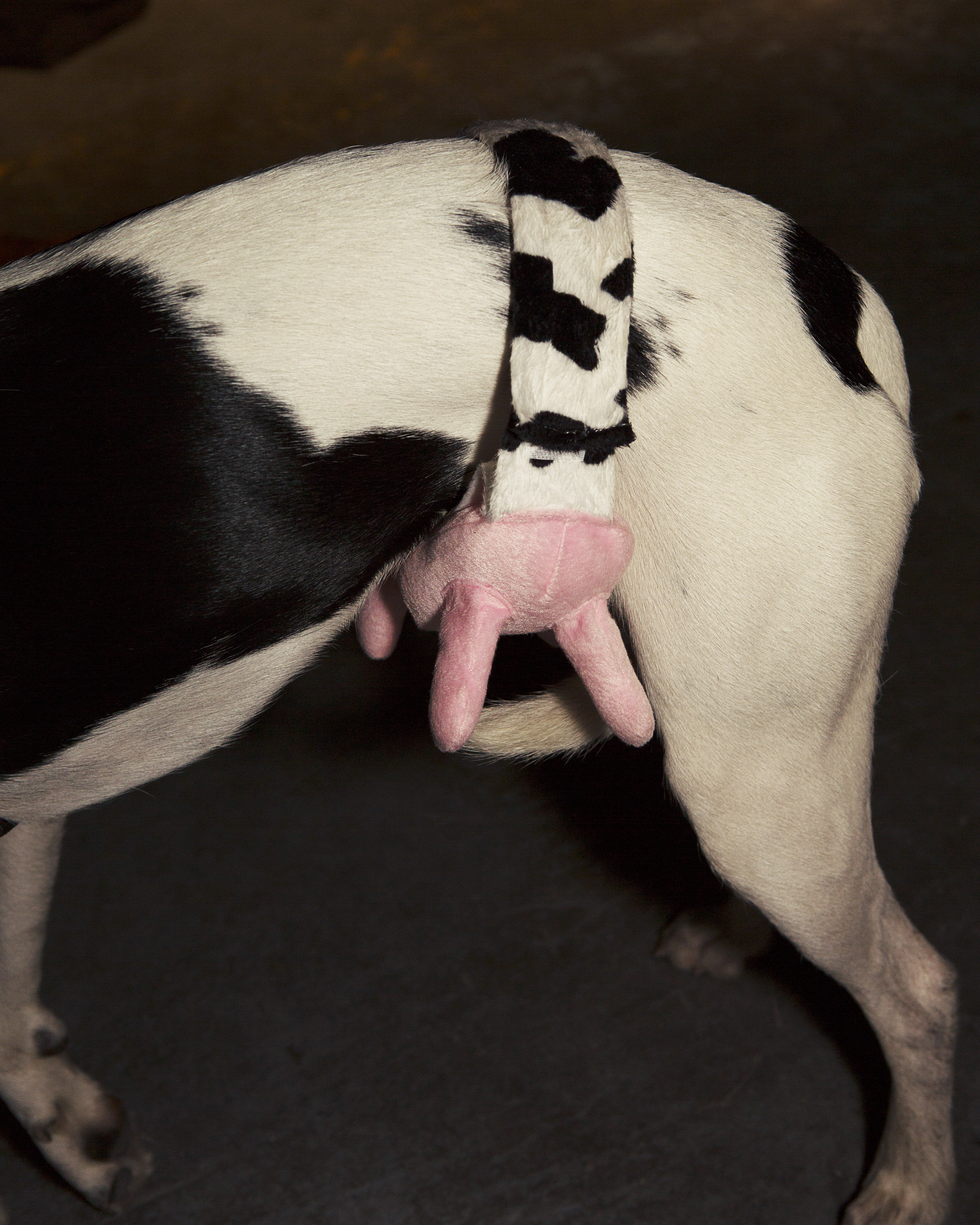 1540784571556-VICE_TaylerSmith_Halloween_2018_10