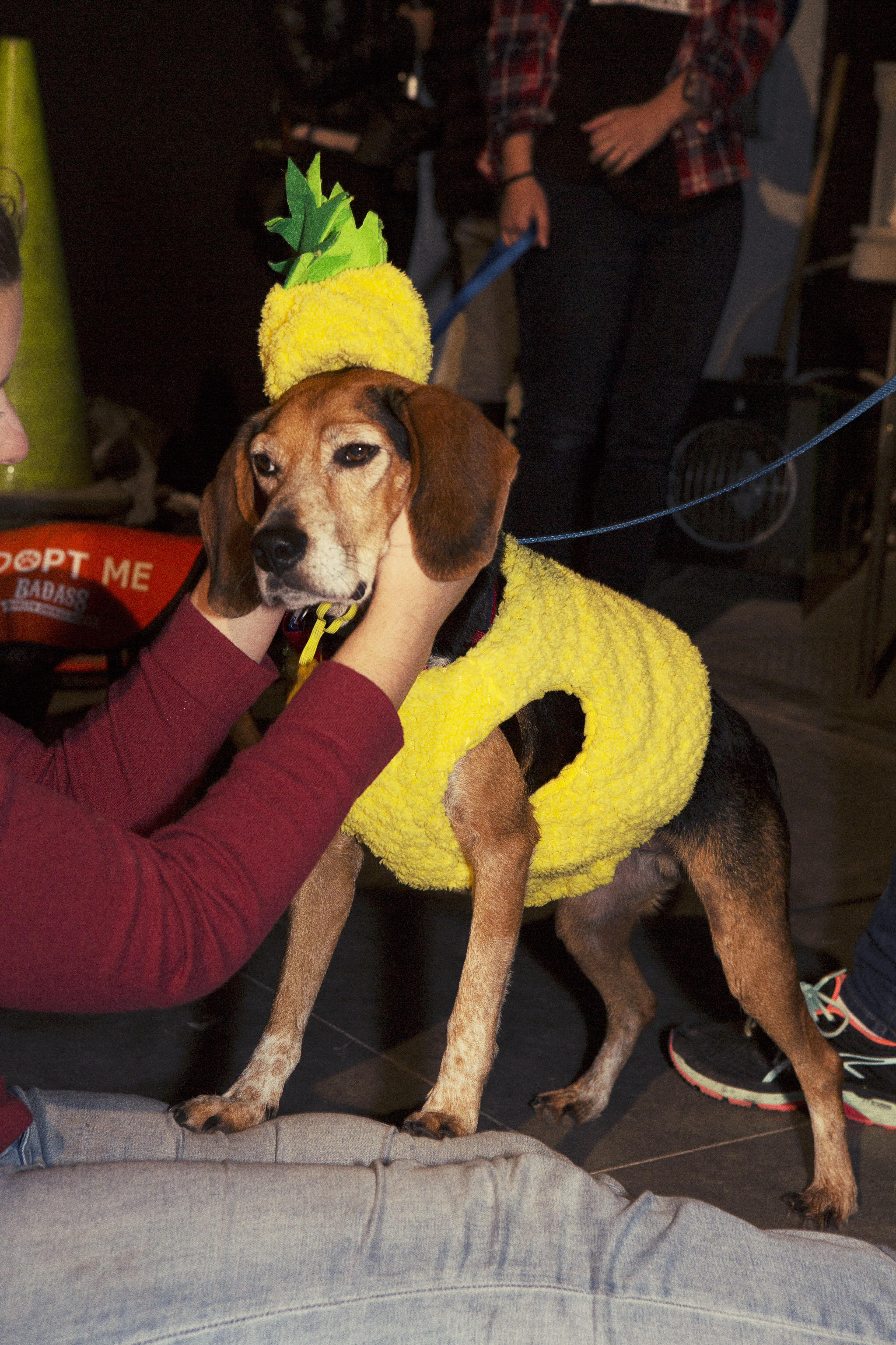 1540784737289-VICE_TaylerSmith_Halloween_2018_19