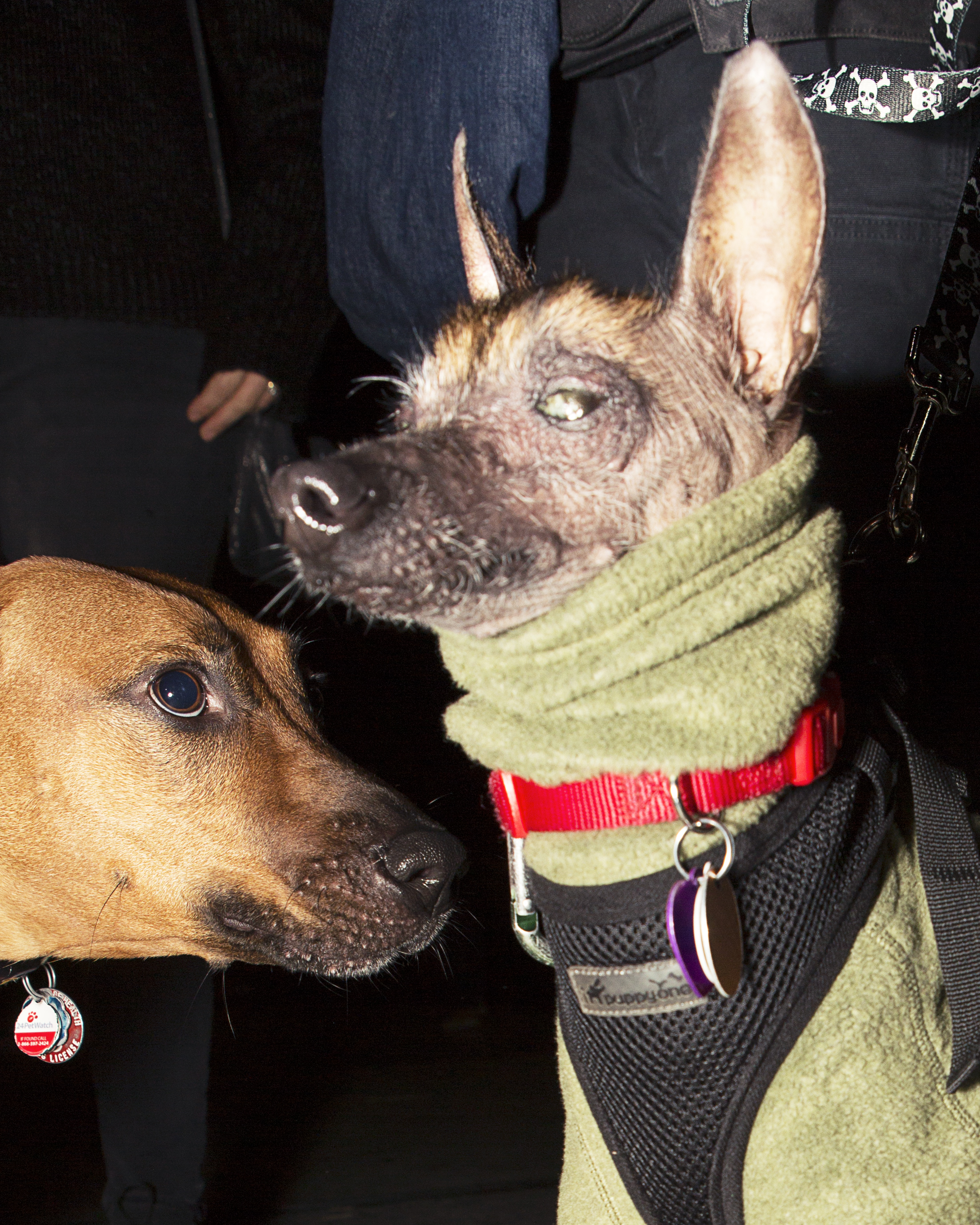 1540785069510-VICE_TaylerSmith_Halloween_2018_24