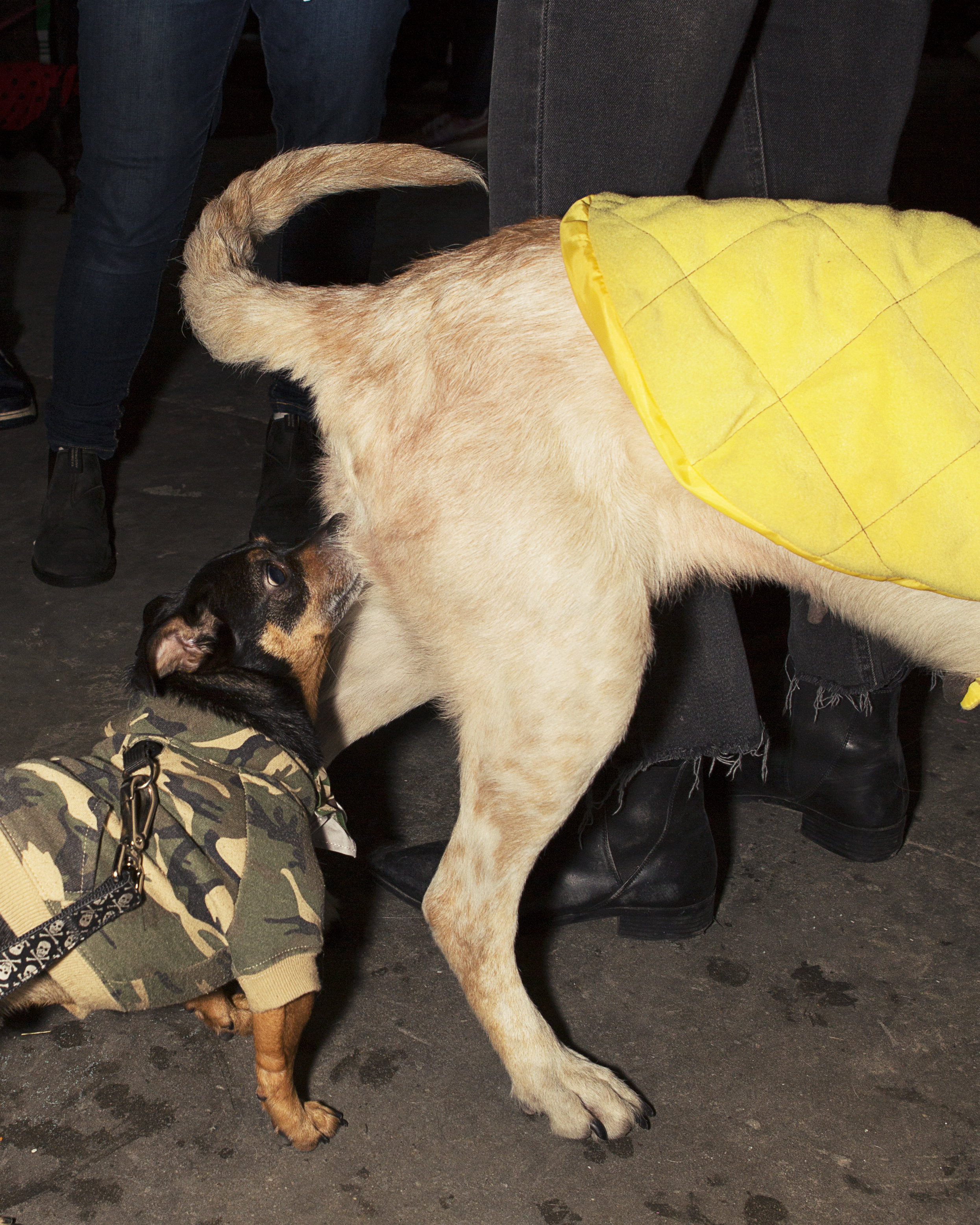 1540785296058-VICE_TaylerSmith_Halloween_2018_25