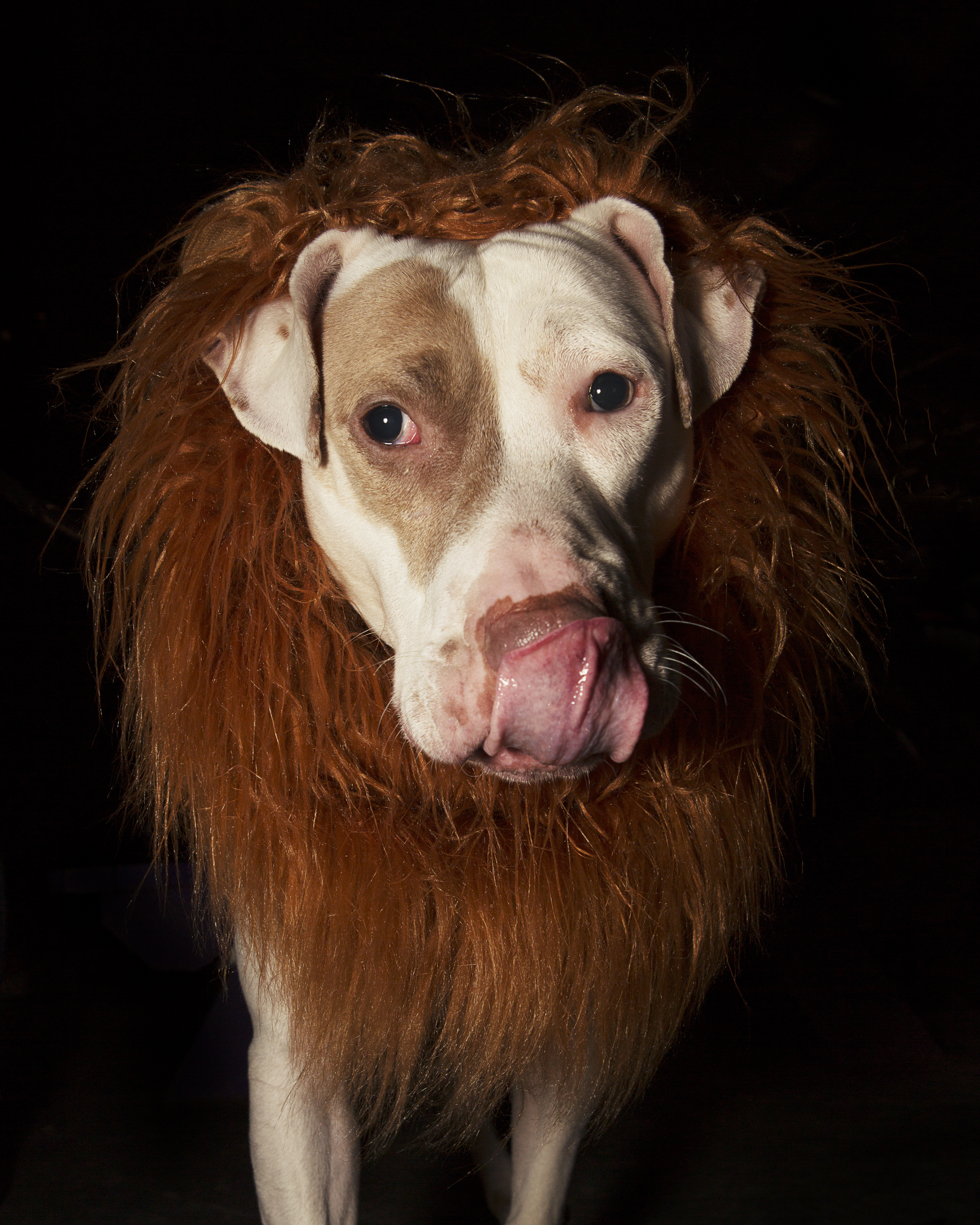 1540838960097-1540784194470-VICE_TaylerSmith_Halloween_2018_2