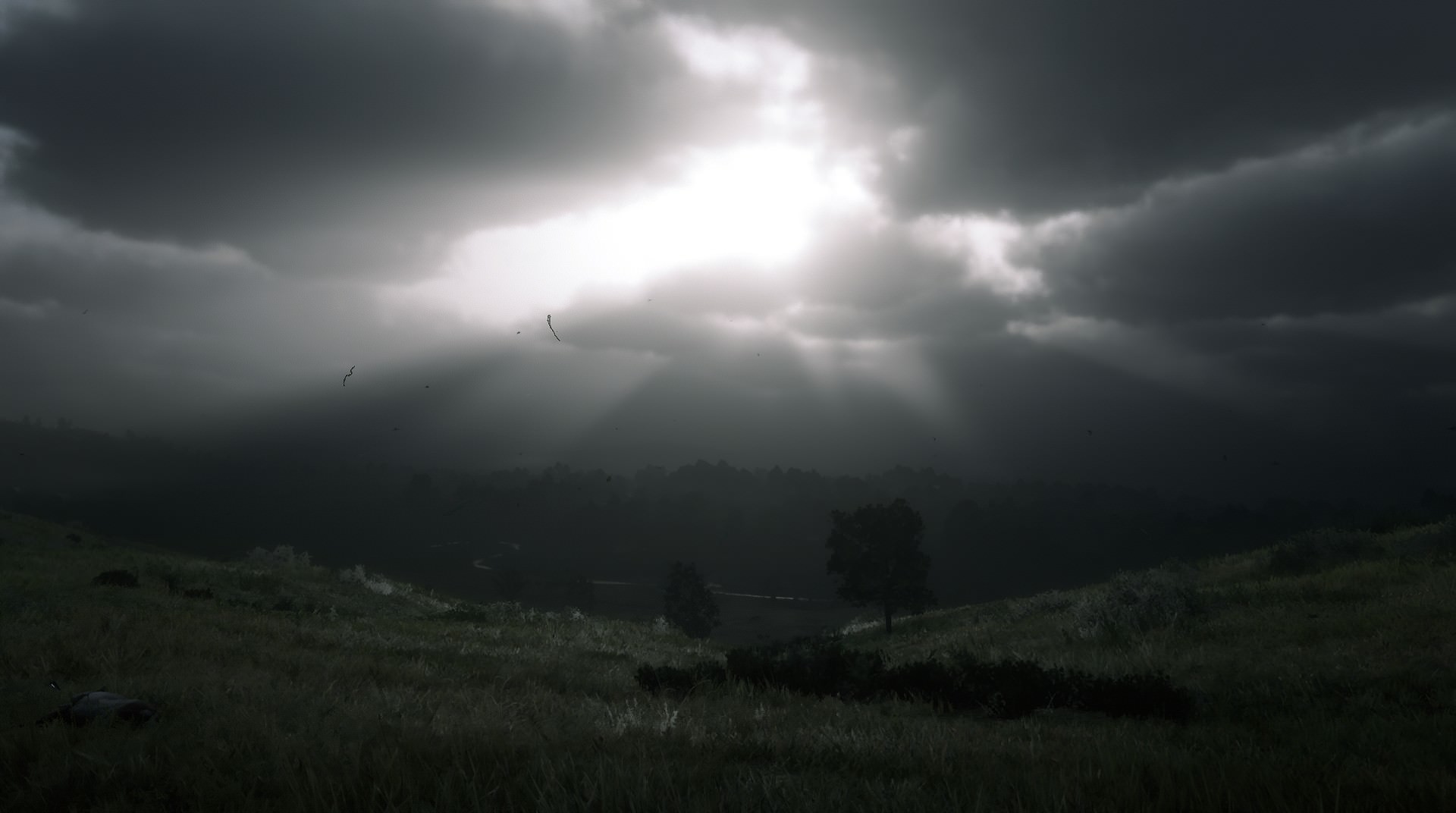 1540908983772-CzTAYLy