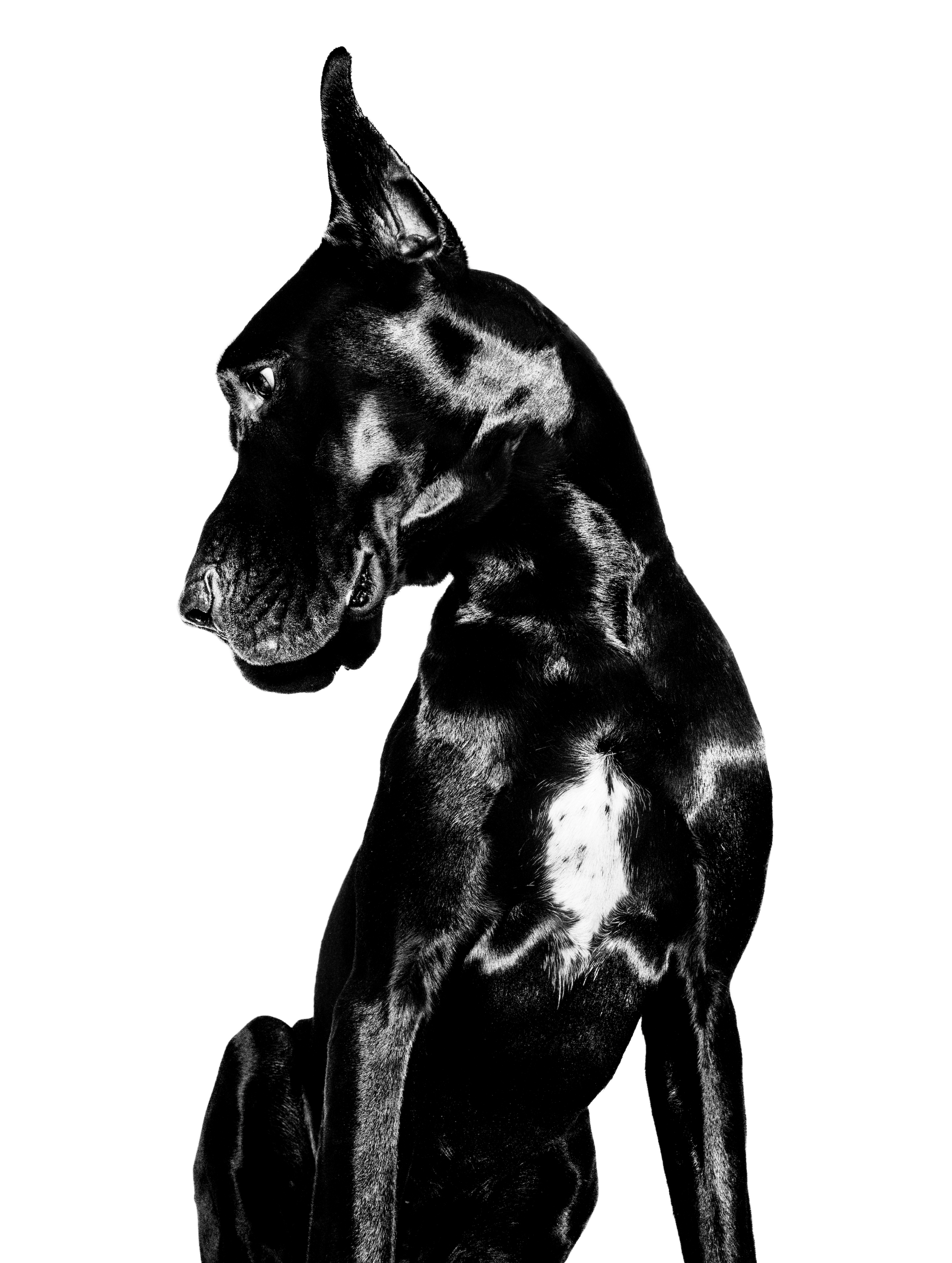 1523661013534-CF123570