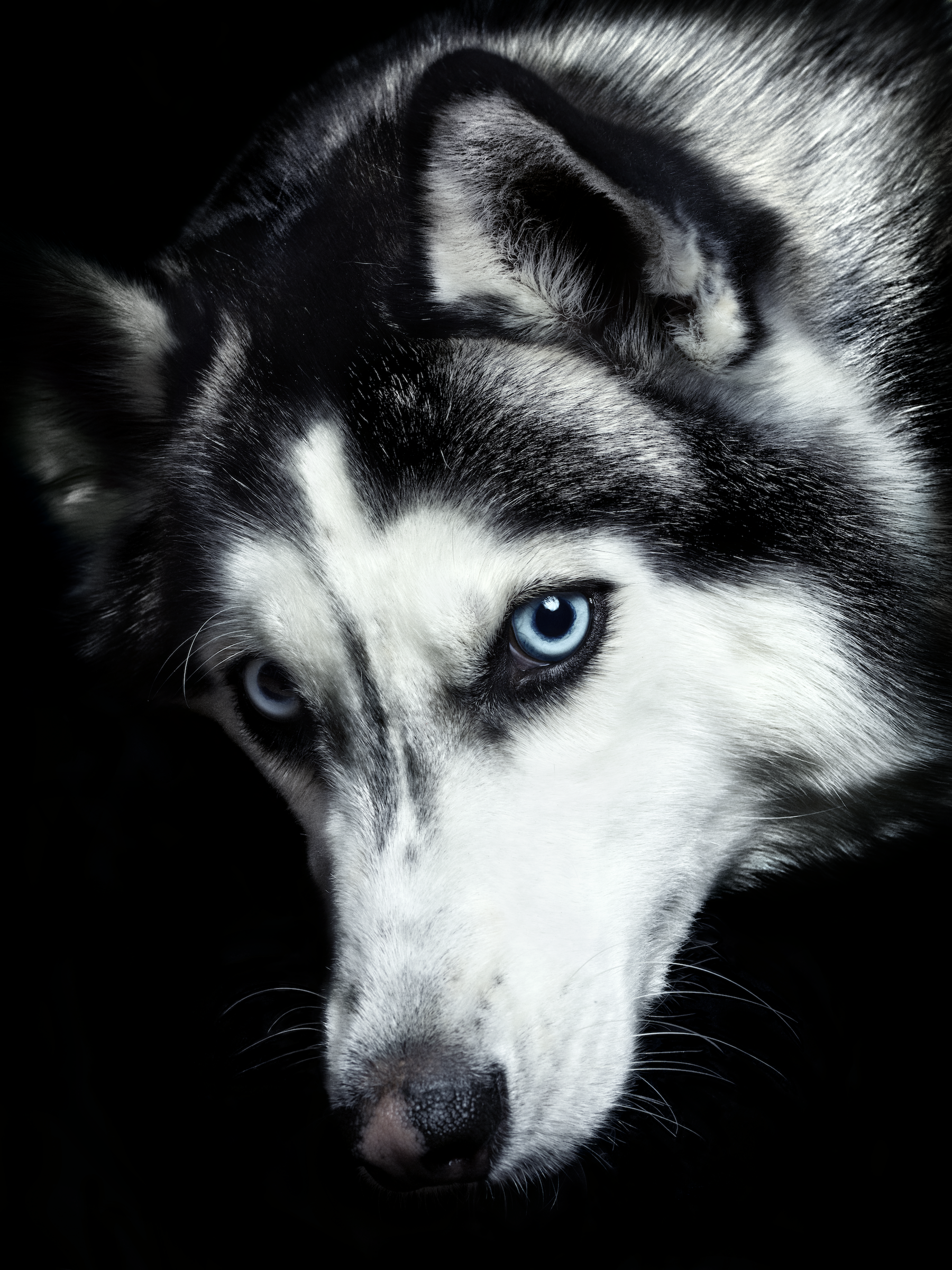 1523661171865-CF122550B