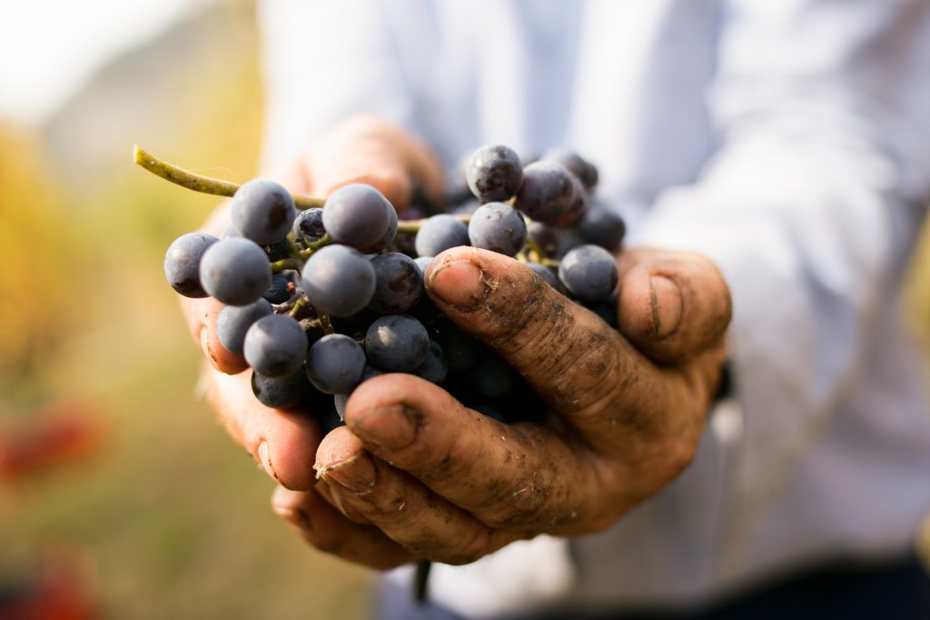 GettyImages-726770577