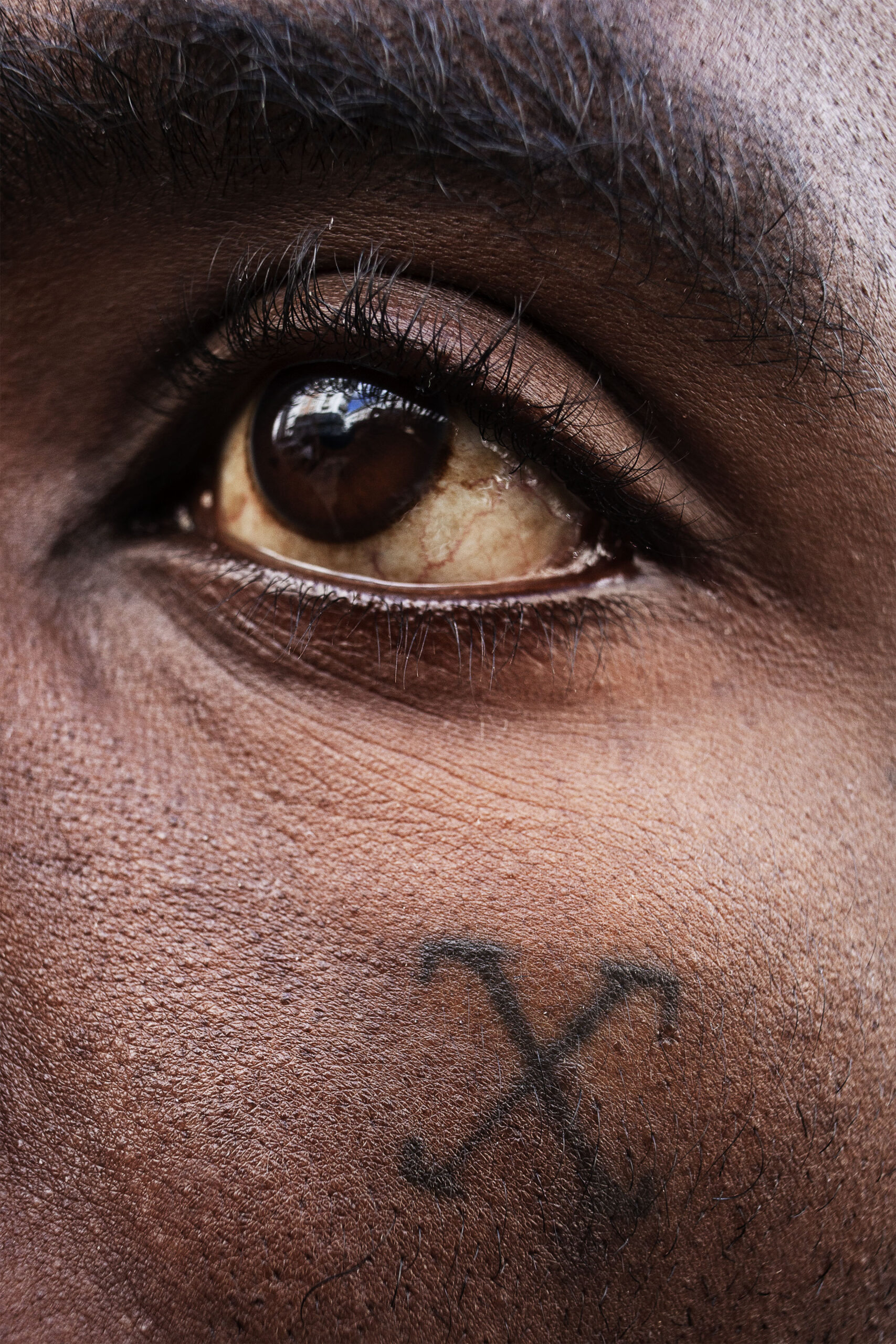 1541584020089-Celeste10