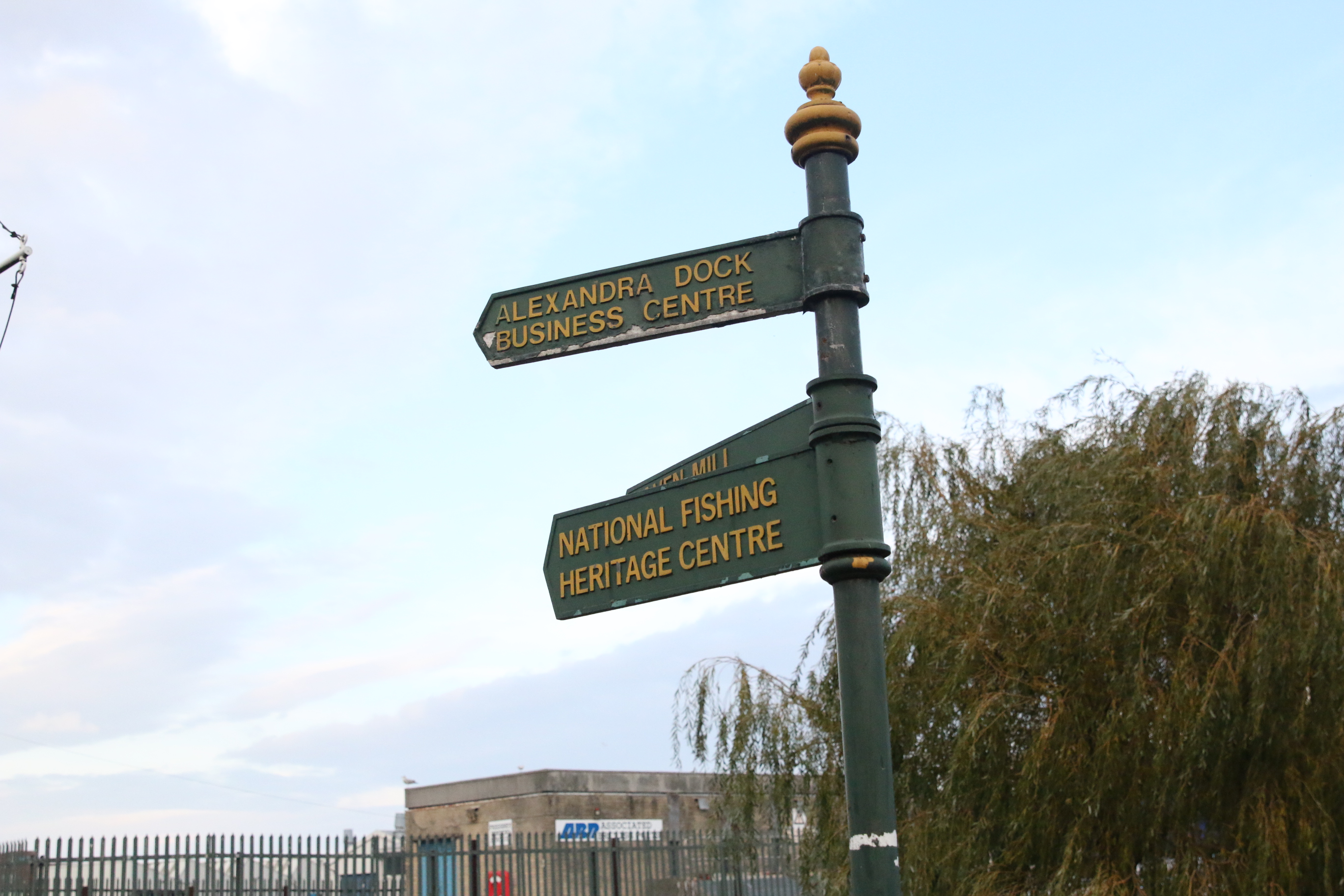 1541690955822-IMG_5851