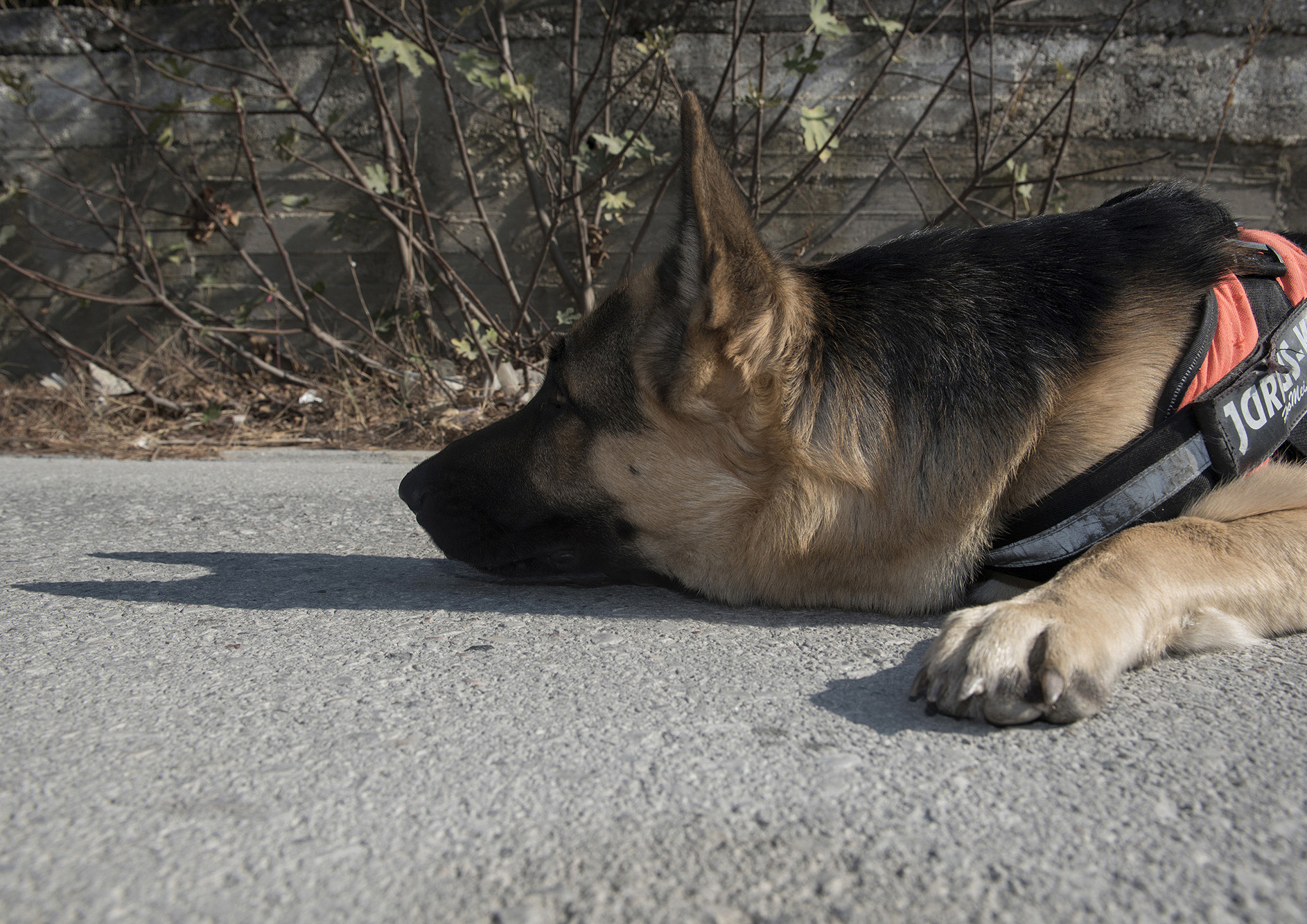 1541775706278-_AAV0359