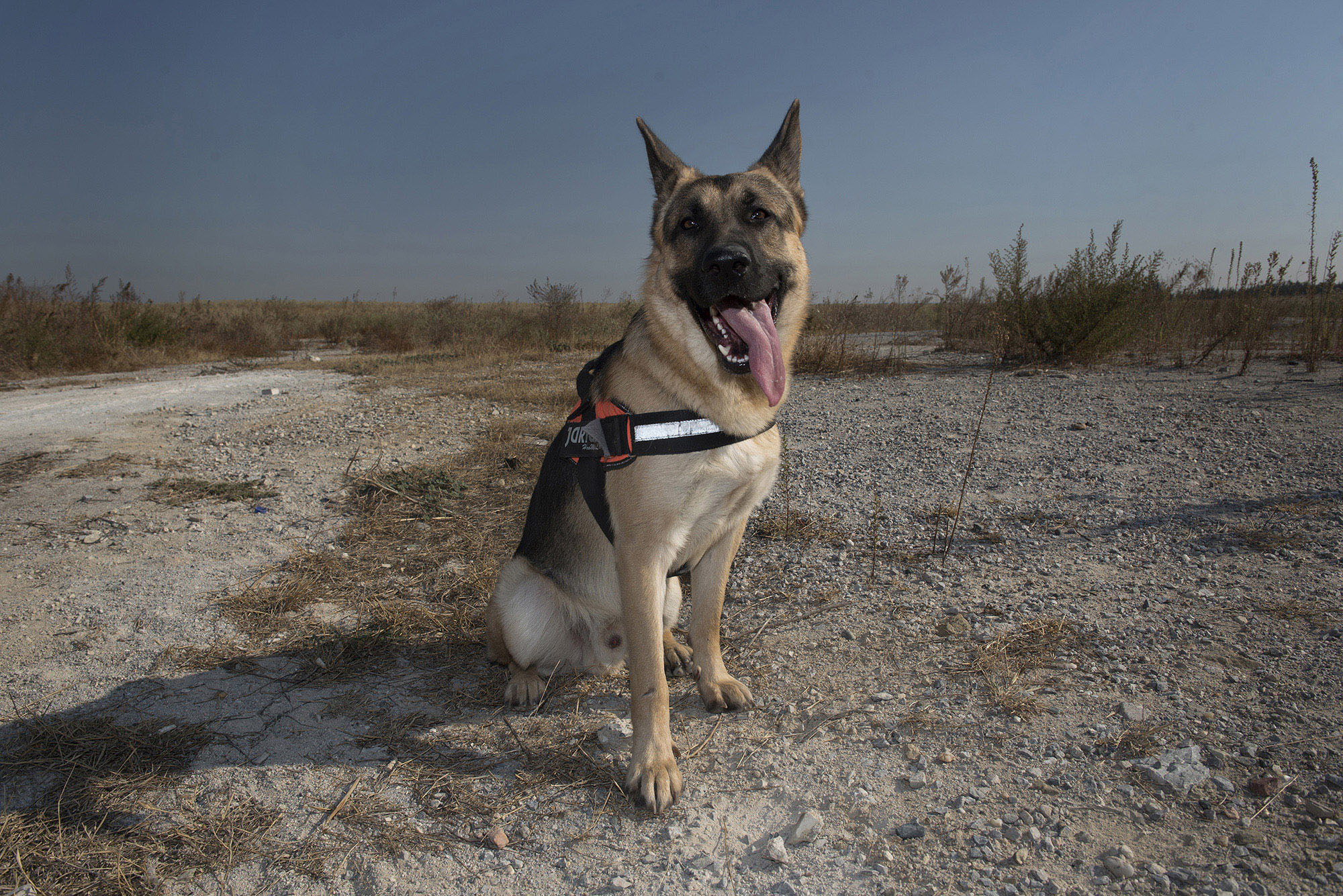 1541776864744-_AAV0202