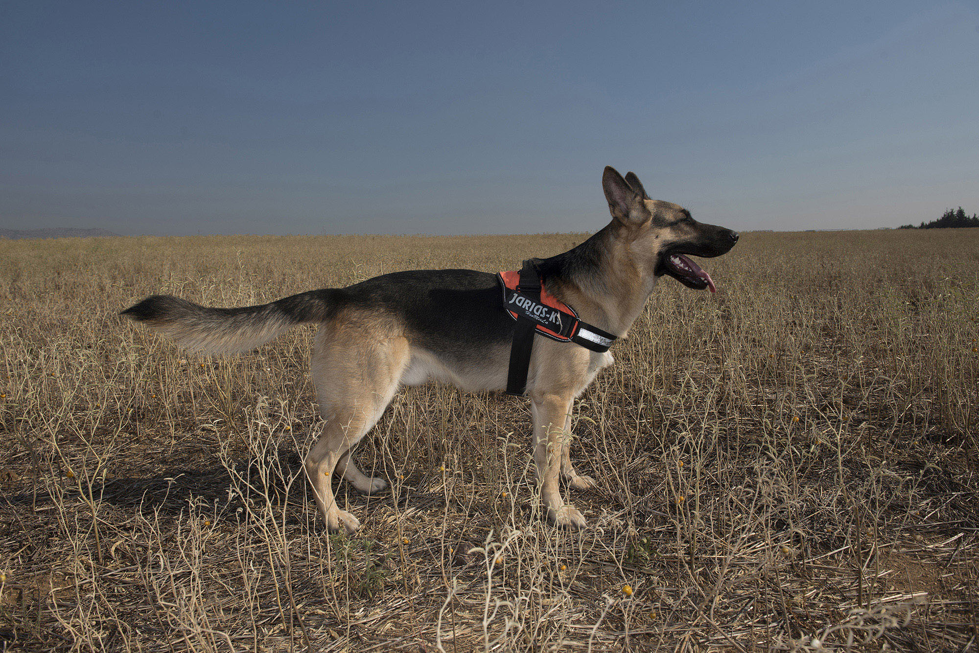 1541776883729-_AAV0267