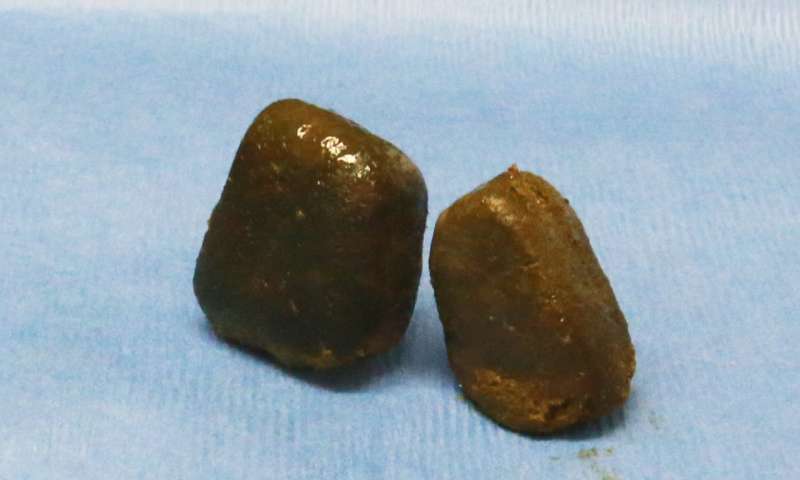wombat poop cubes