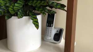 Vaste telefoon achter pot met plant​