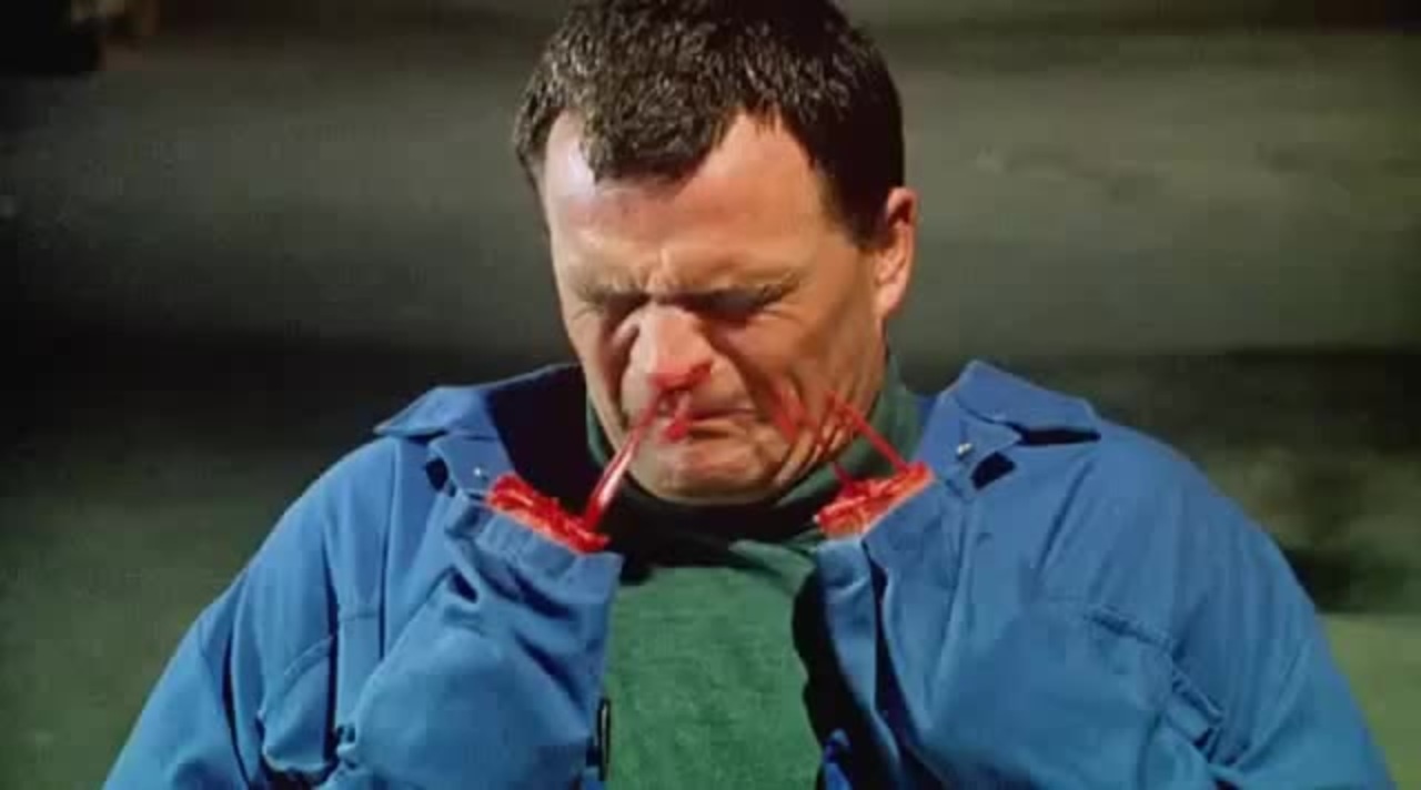 1542991202874-staplerfahrer2