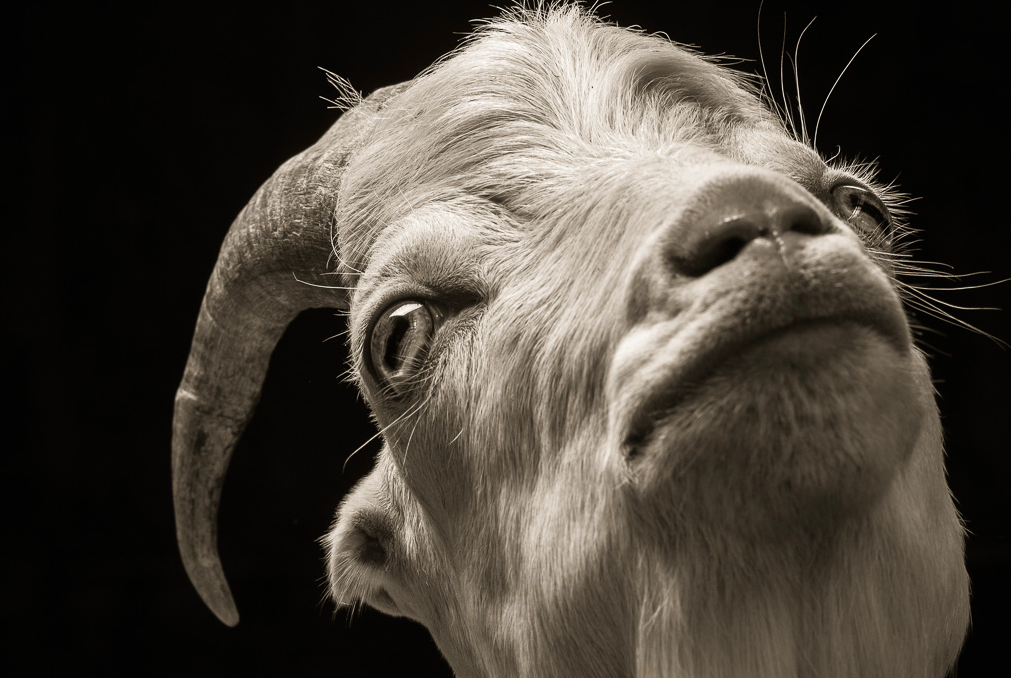 1543294705672-Screen-Shot-2018-11-27-at-114949