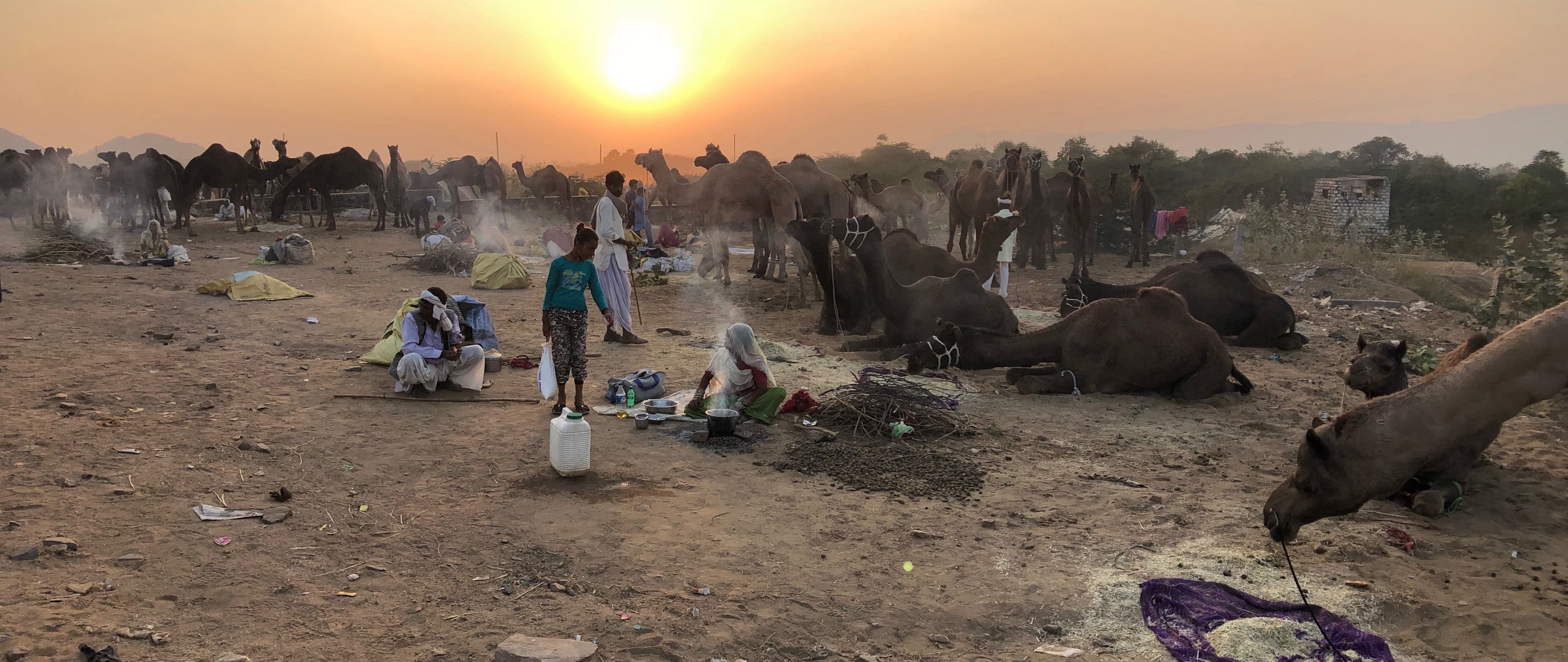 1543485821783-CSIMG_18_35