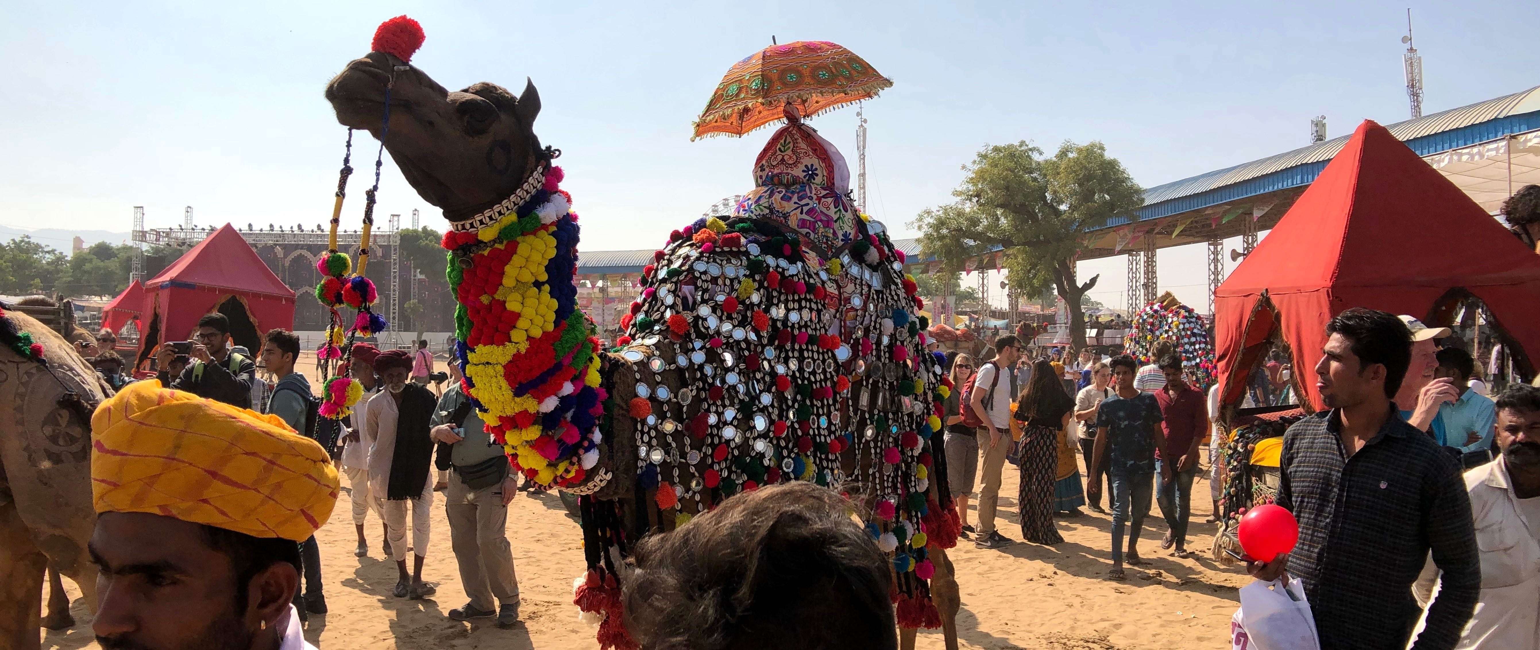 1543486373940-Copy-of-CSIMG_19_24