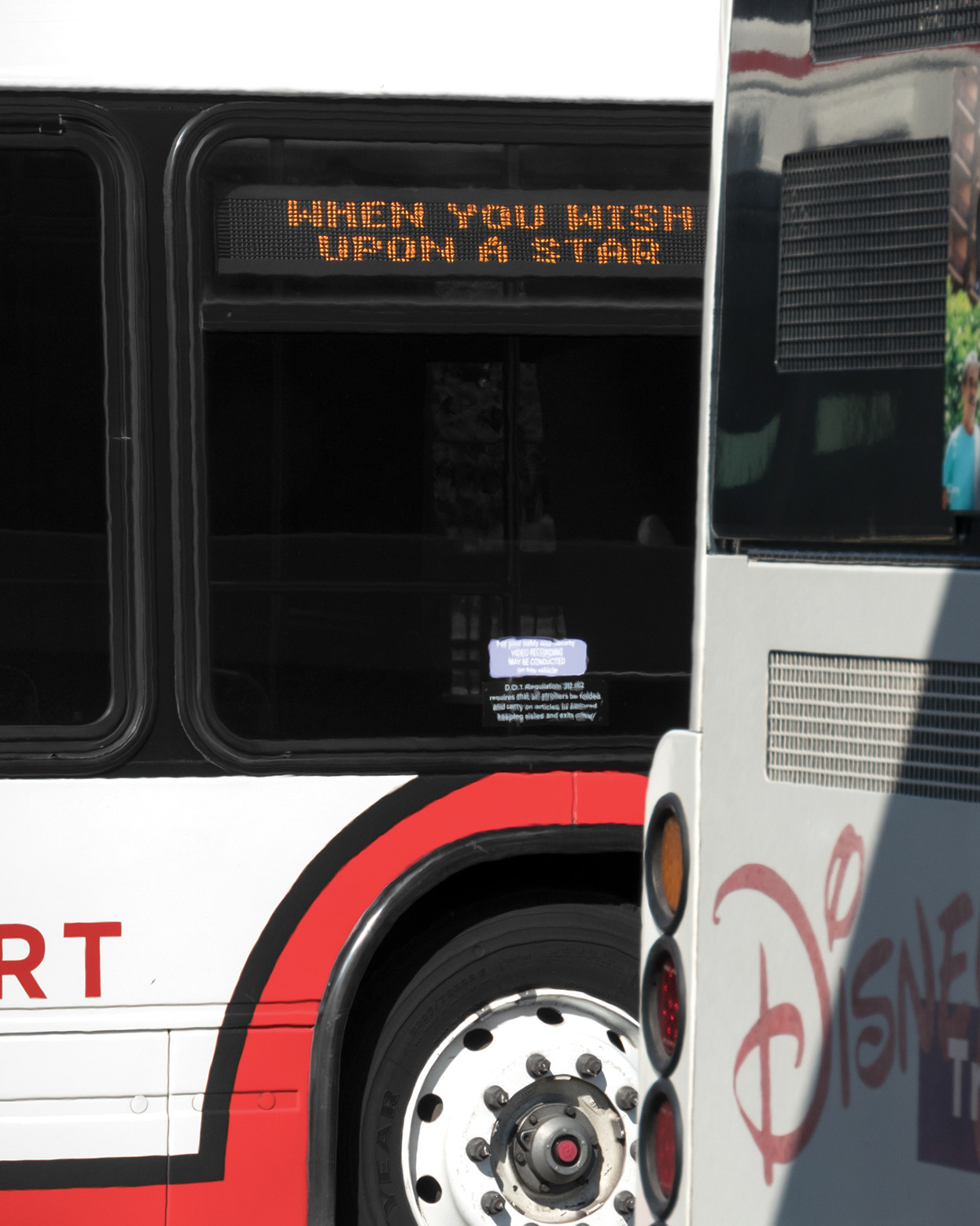 1543077738832-CM_DIS_final_15_300