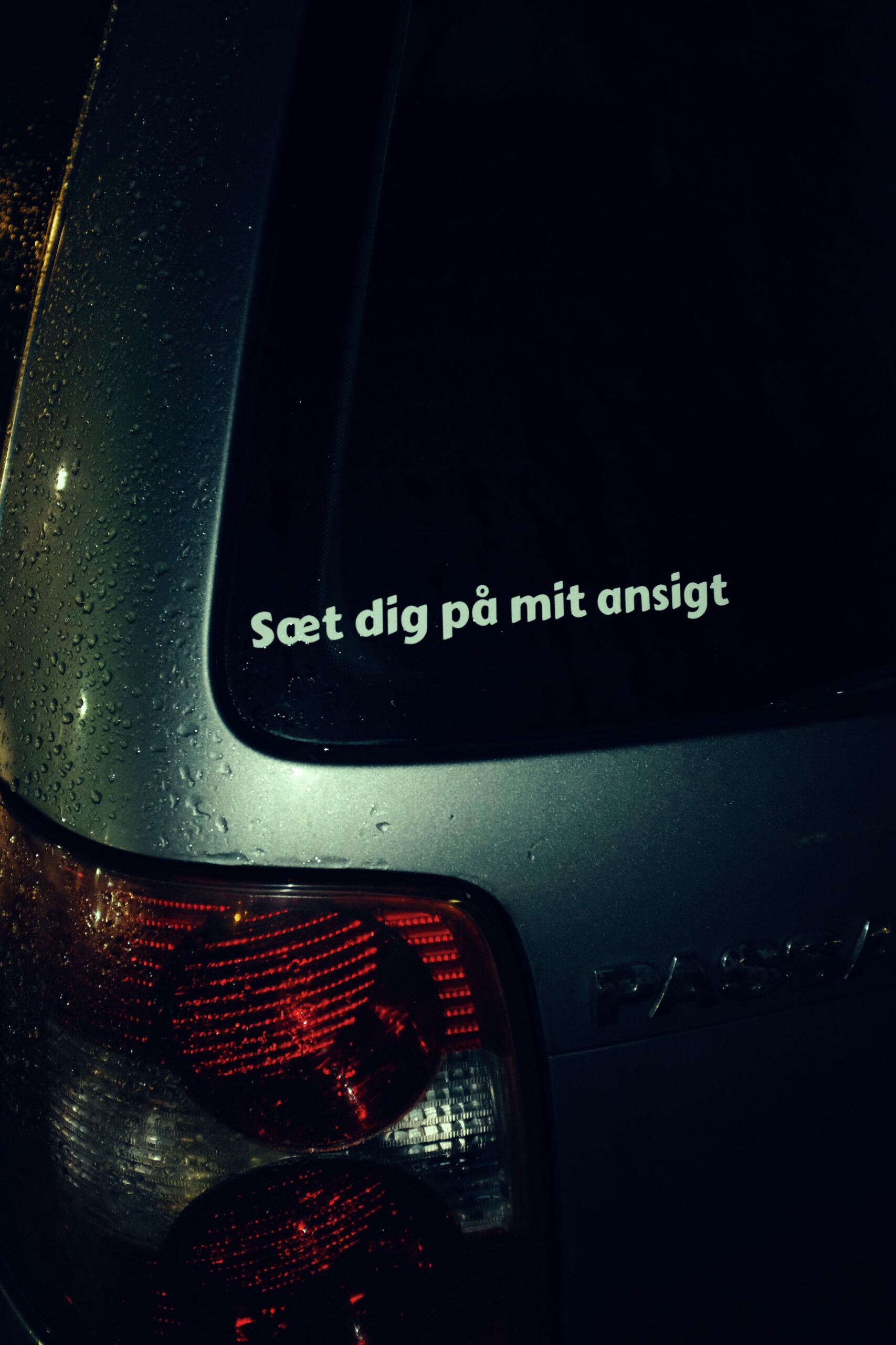 1544102311935-paul-walker-memorial-23