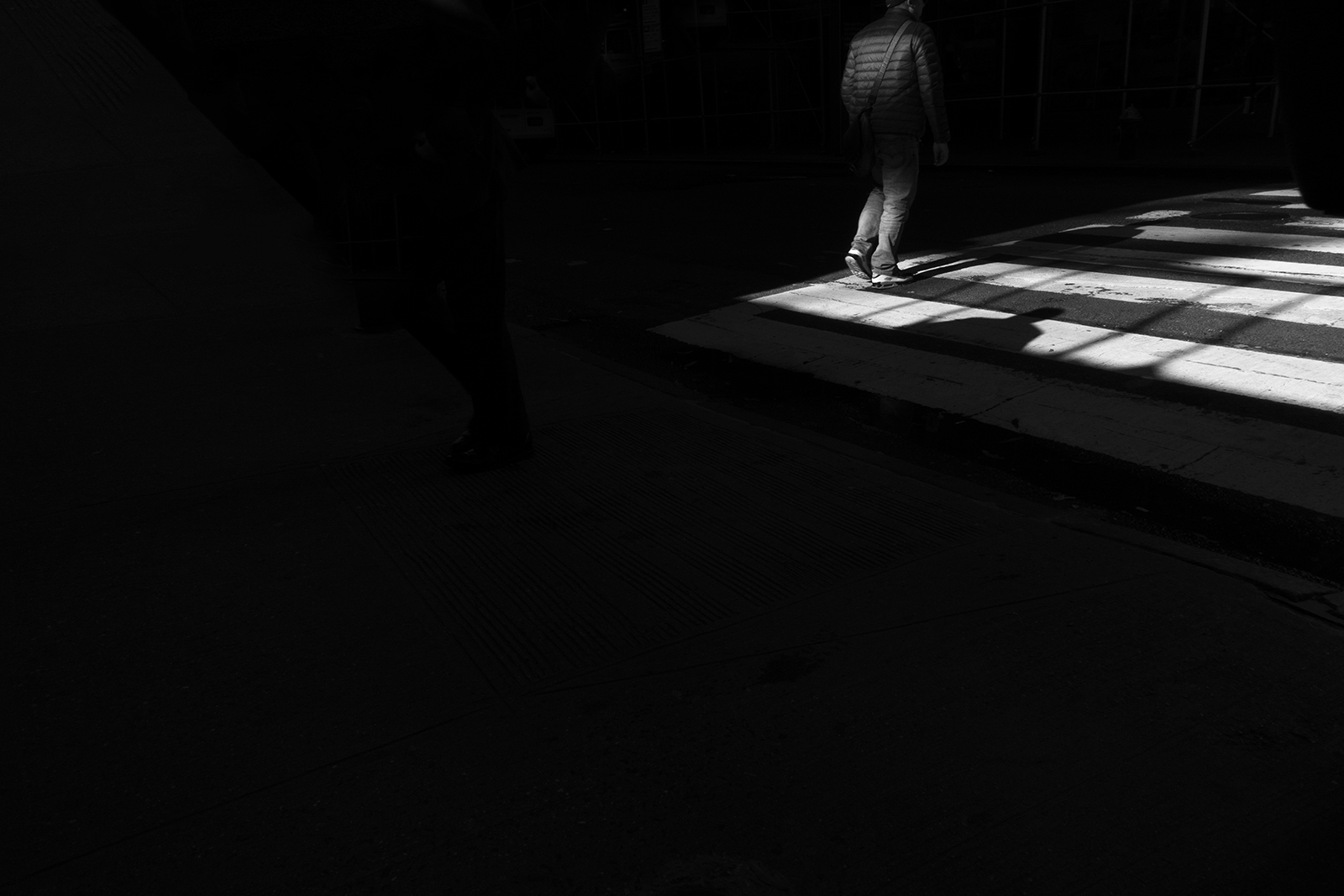 1544184993897-NYC-jelena-jankovic18