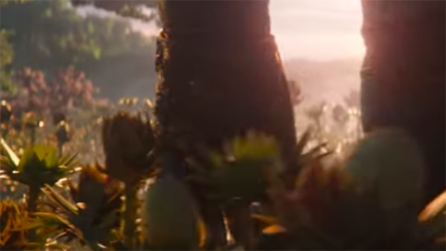 Thanos dragging his hand through some plants.