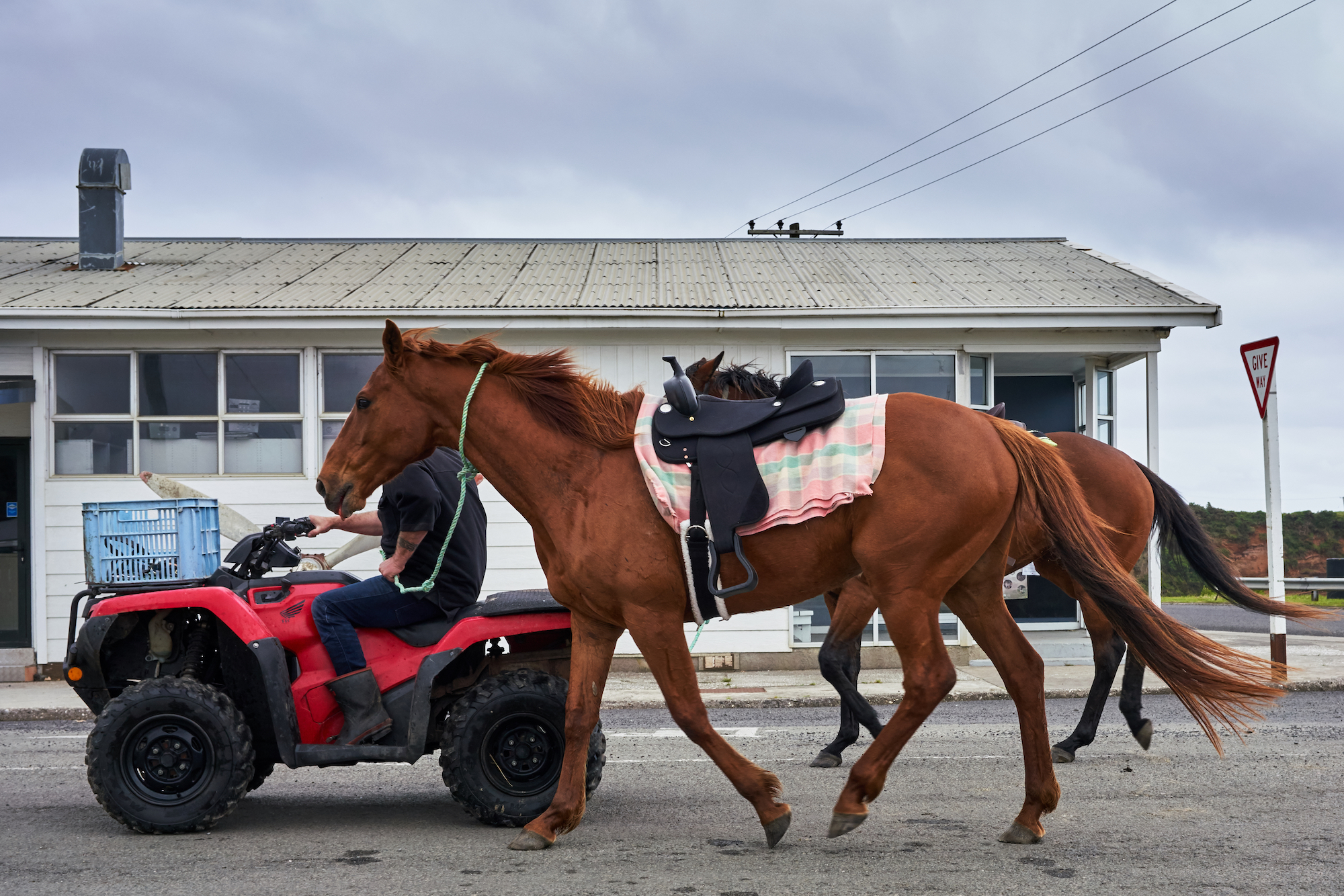 1544405919453-_DSC4835