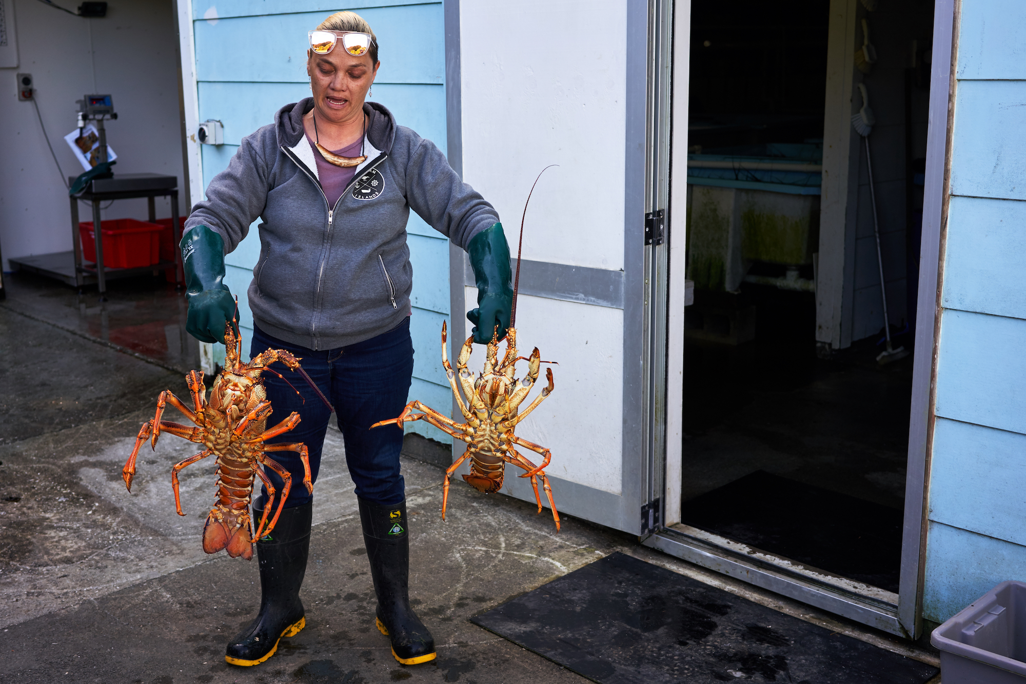 1544406535333-_DSC5145