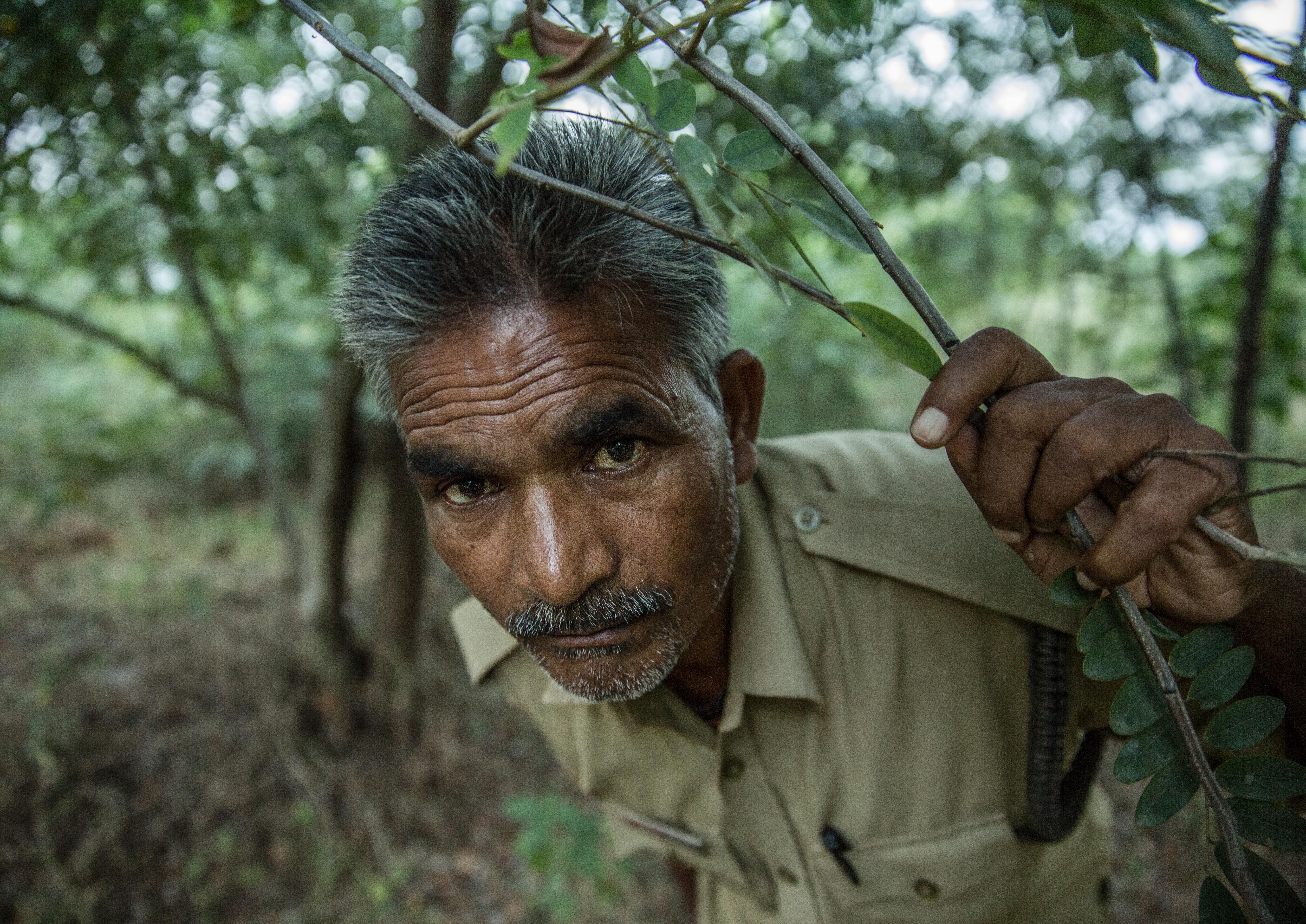 1544440307670-mirzapur-chauhan-2