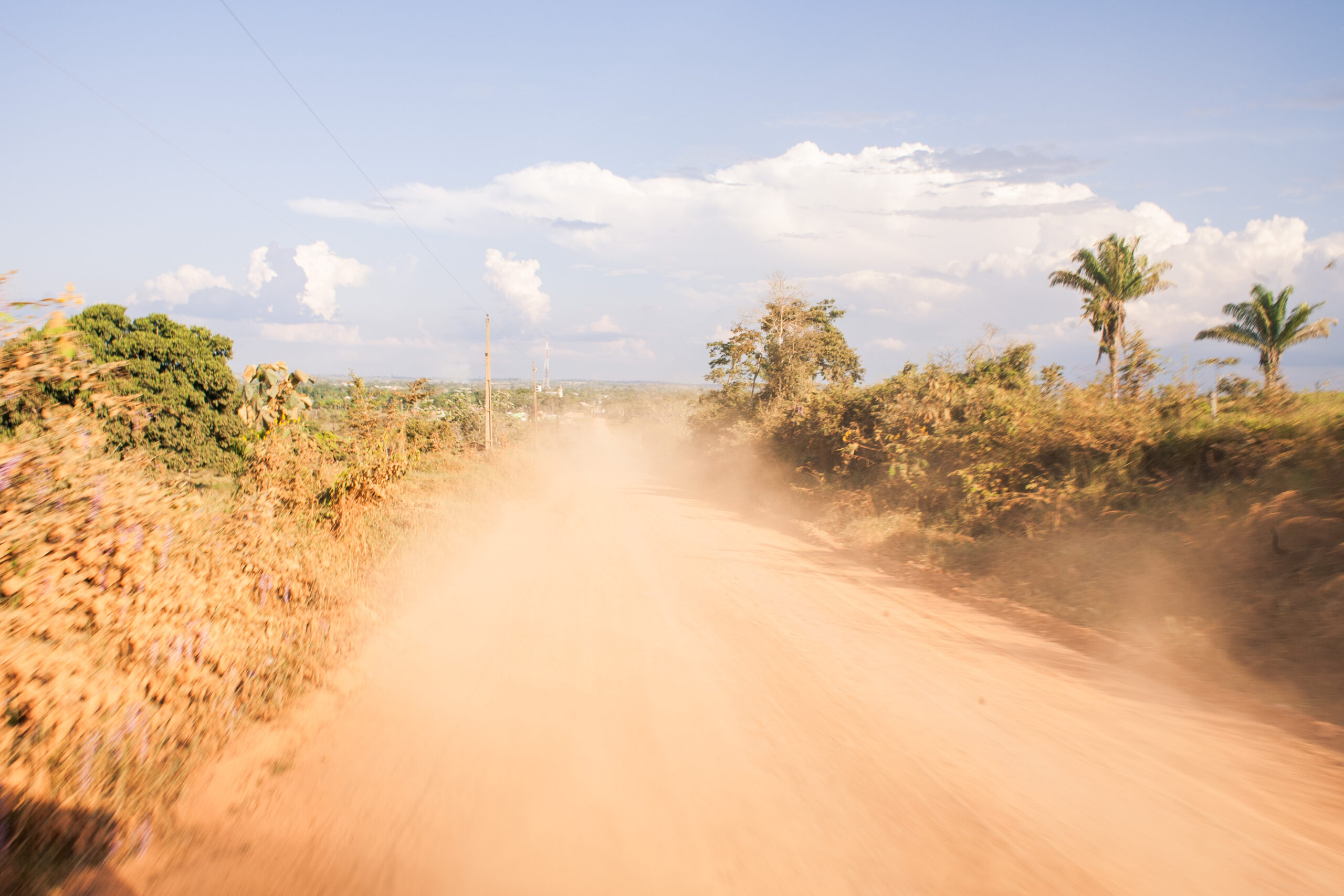 1544708234273-ResexVice-1