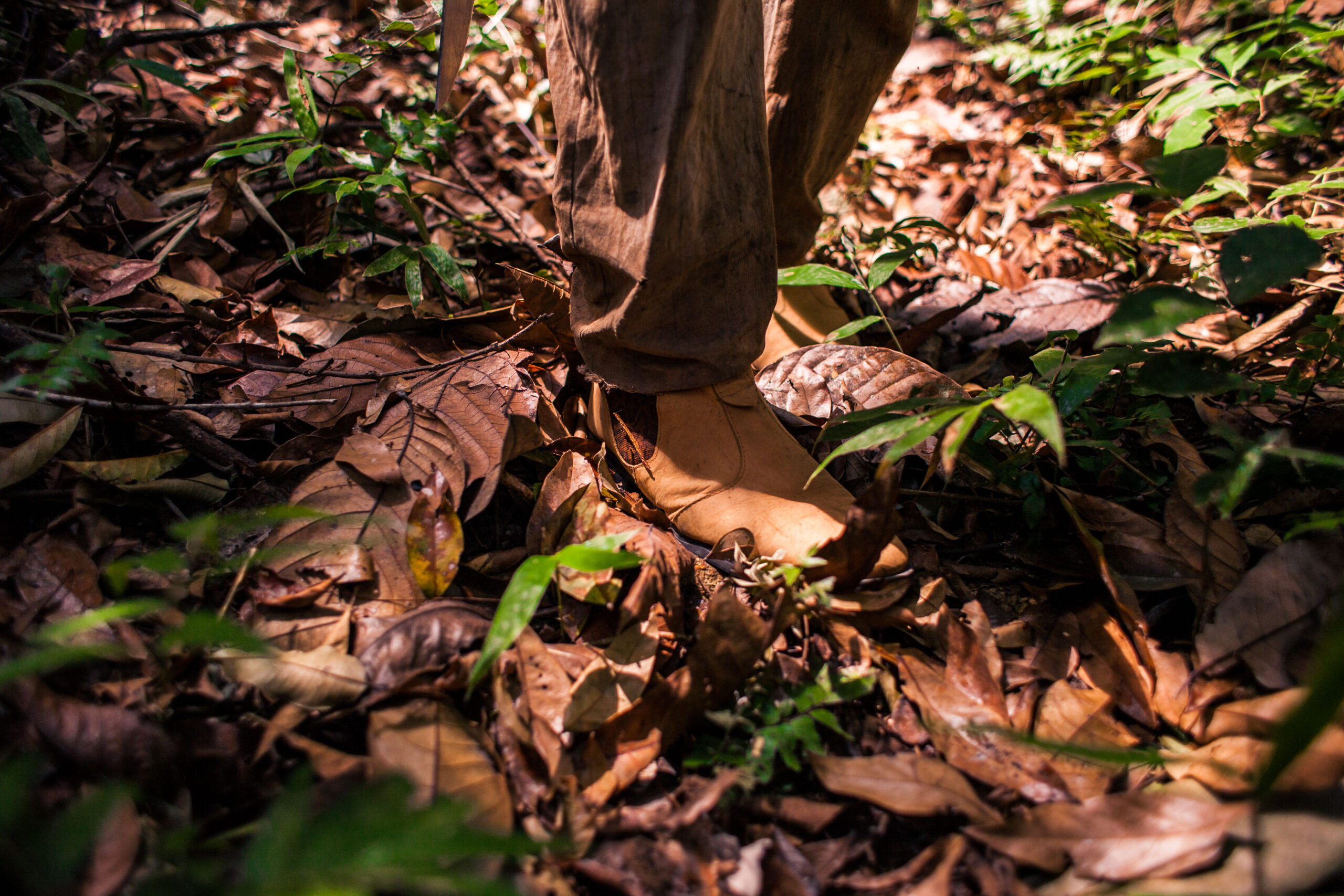 1544710851977-ResexVice-4