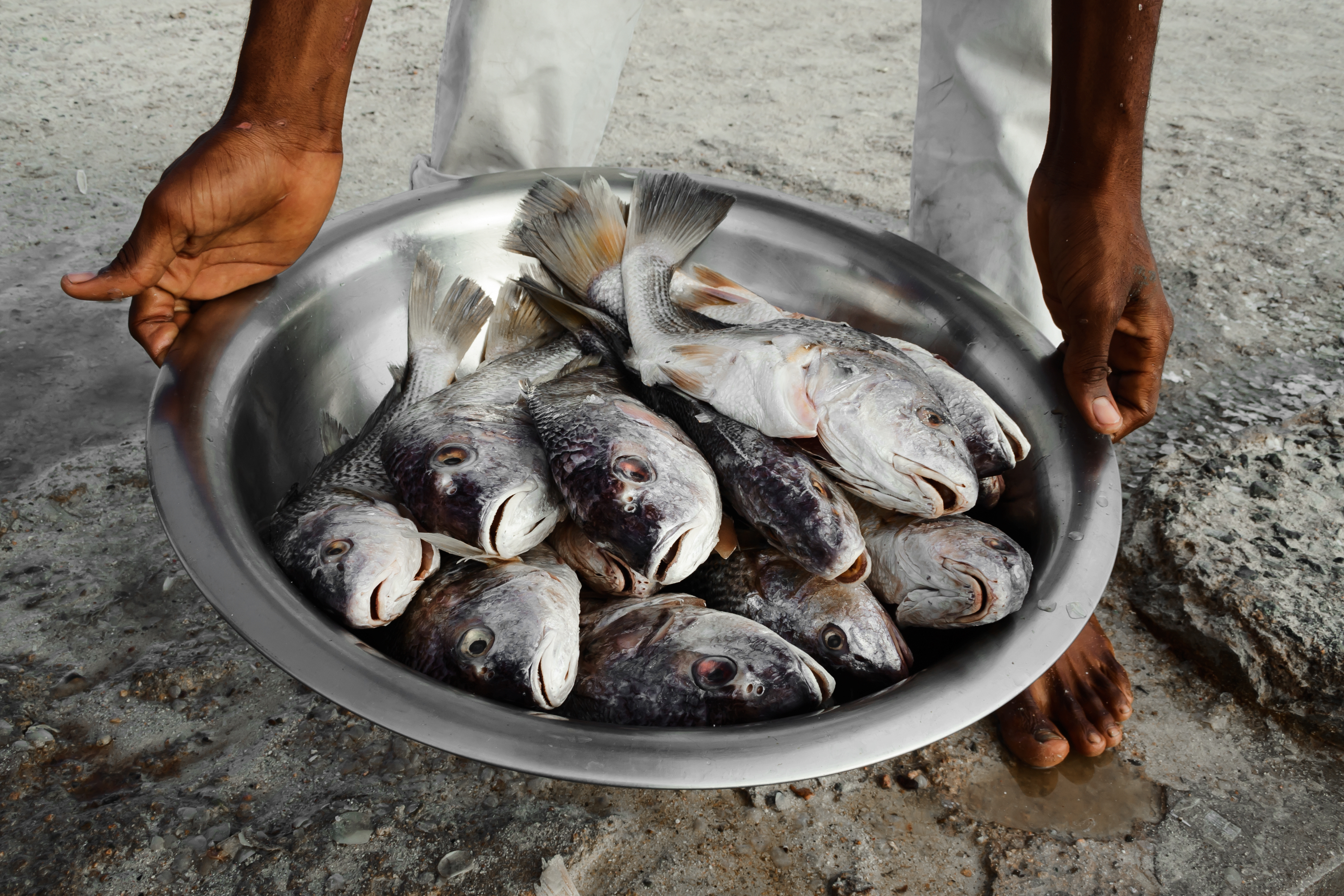 Fisherman in Boca Chica, Dominican Republic. Photo by Maria Bobrova / Getty Images