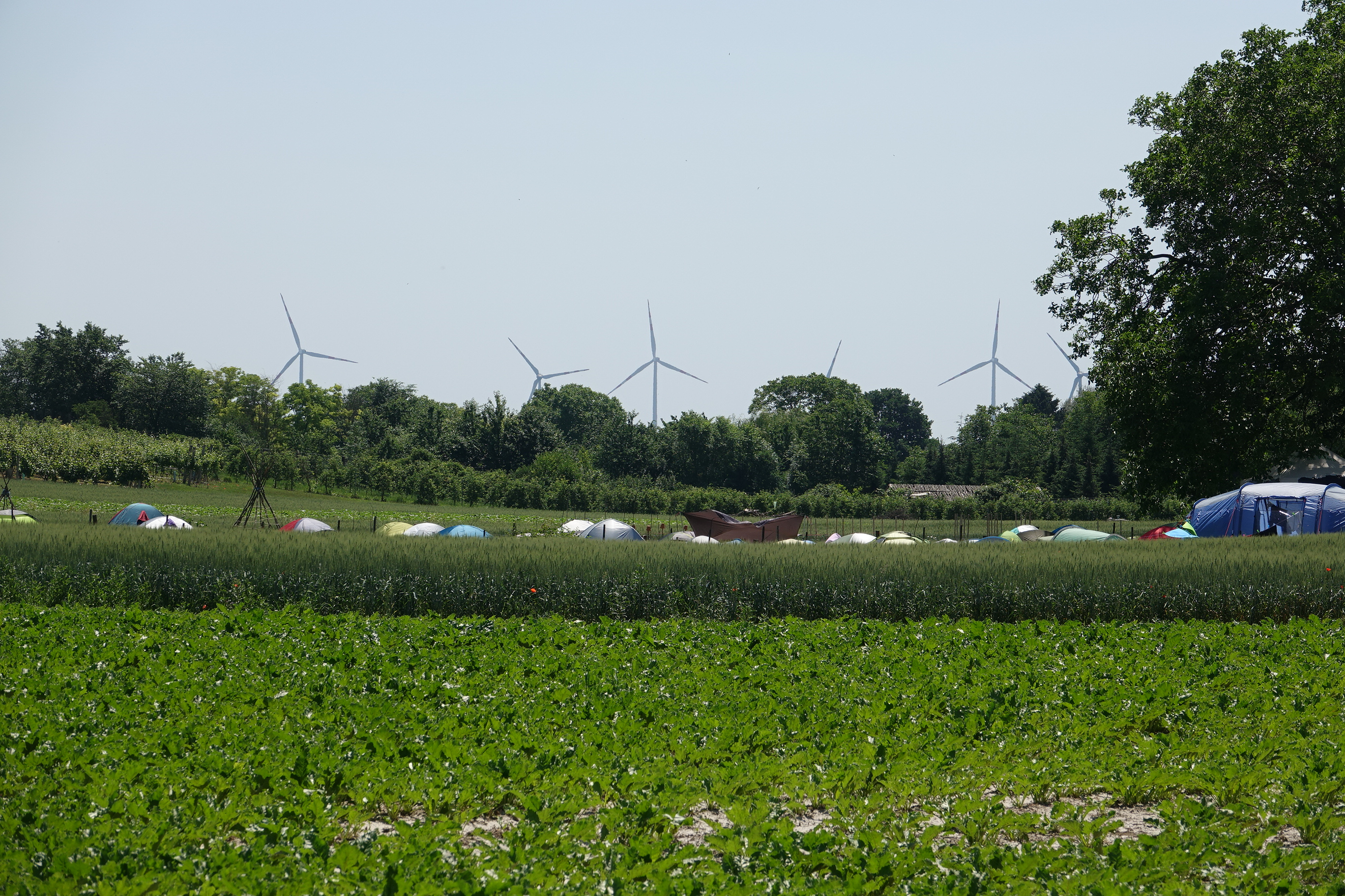 wind farms climate change
