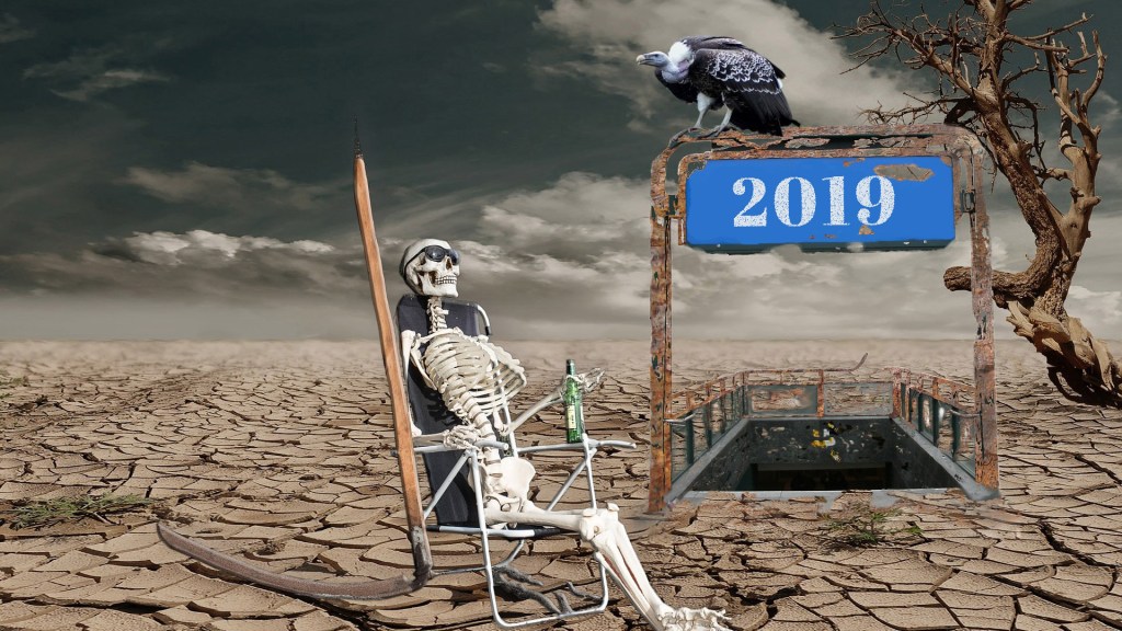 look forward to 2019