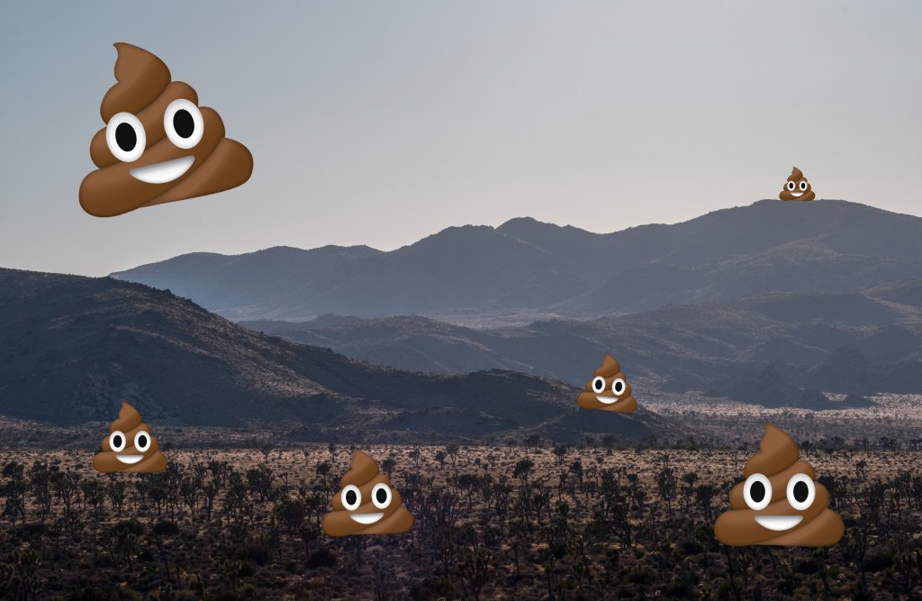 Joshua Tree National Park