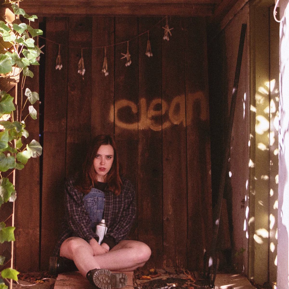 soccer mommy, clean