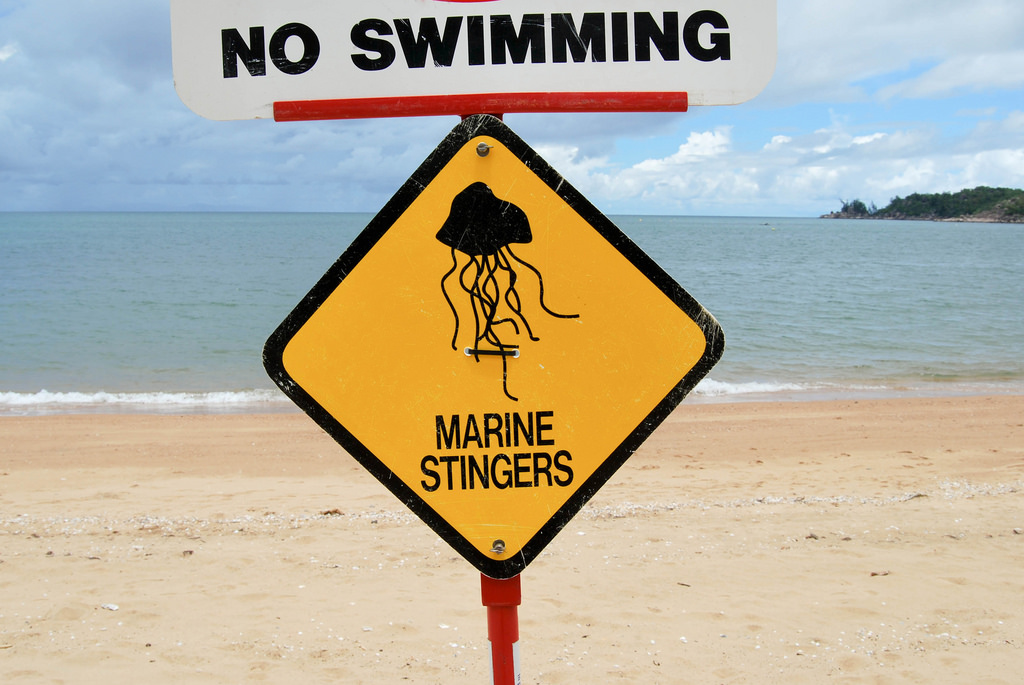 A 'No Swimming: Marine Stingers' sign on the beach