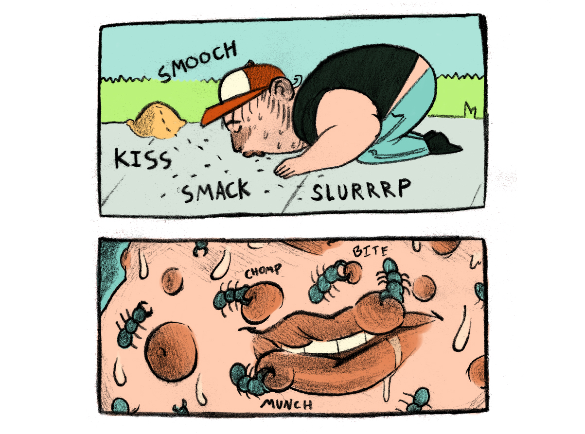 1547230324442-lipbiters-7