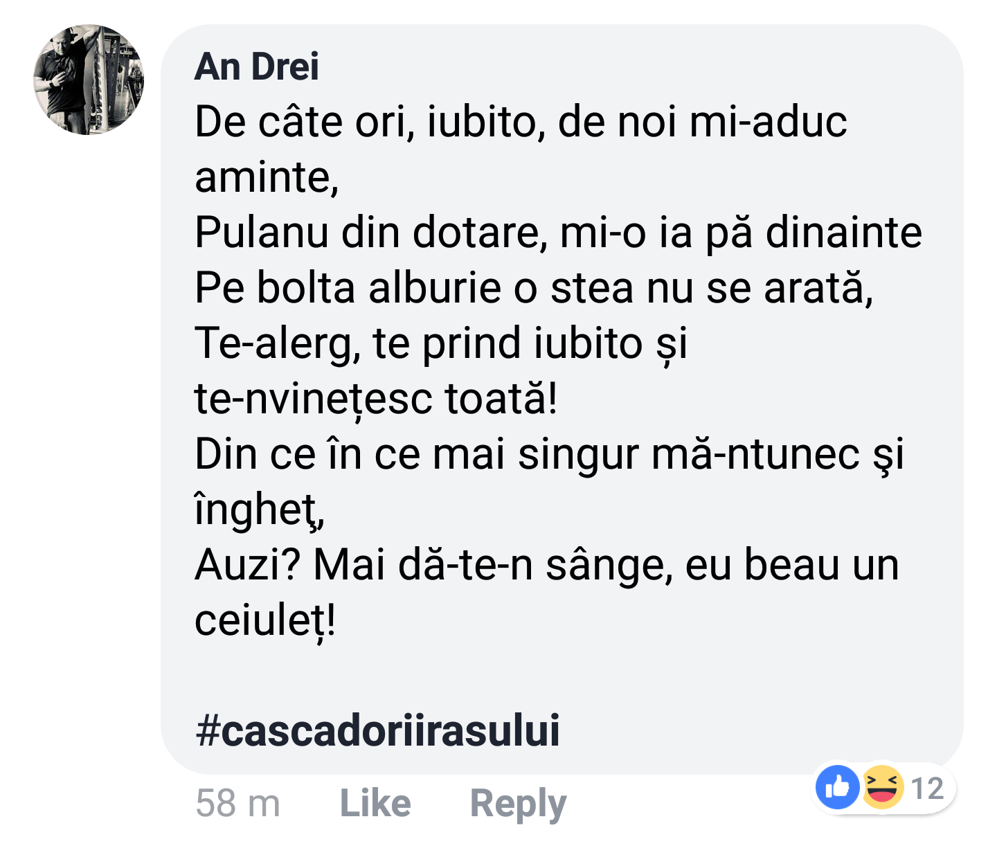 eminescu-jandarmerie-poezii-4