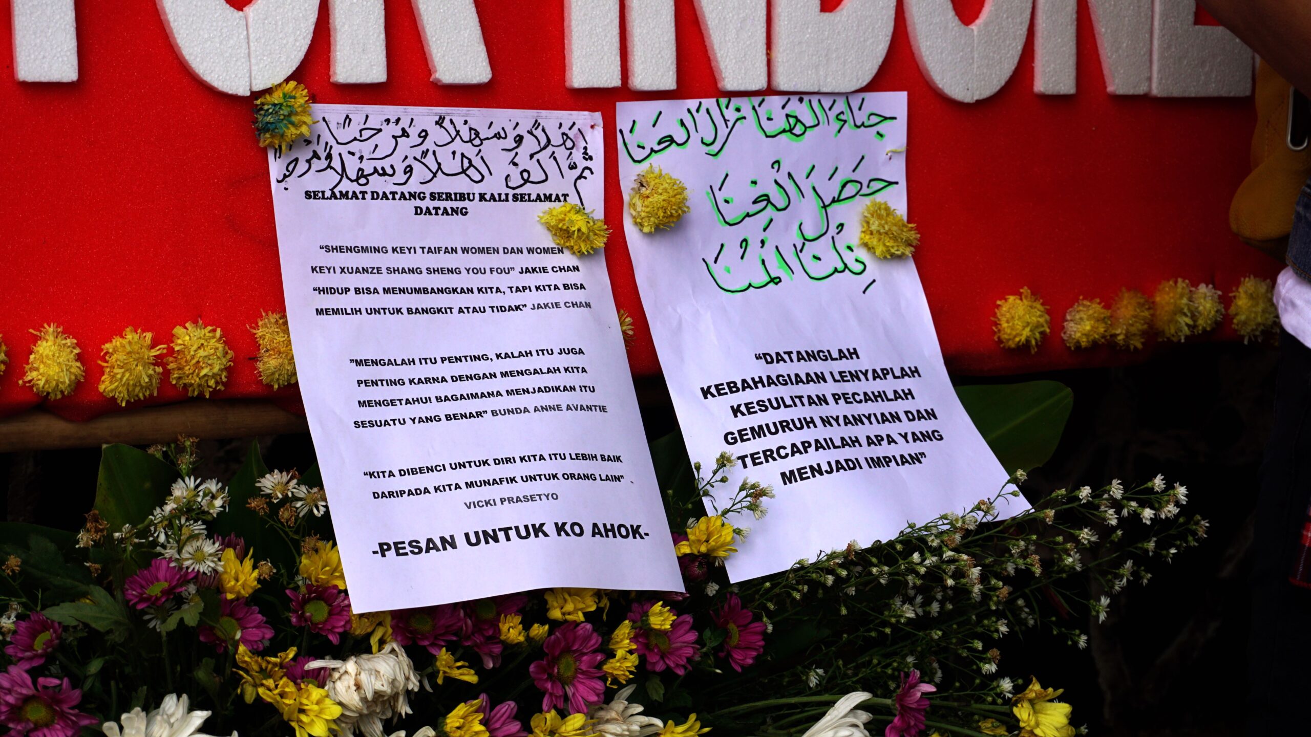 1548313052675-DSC05149