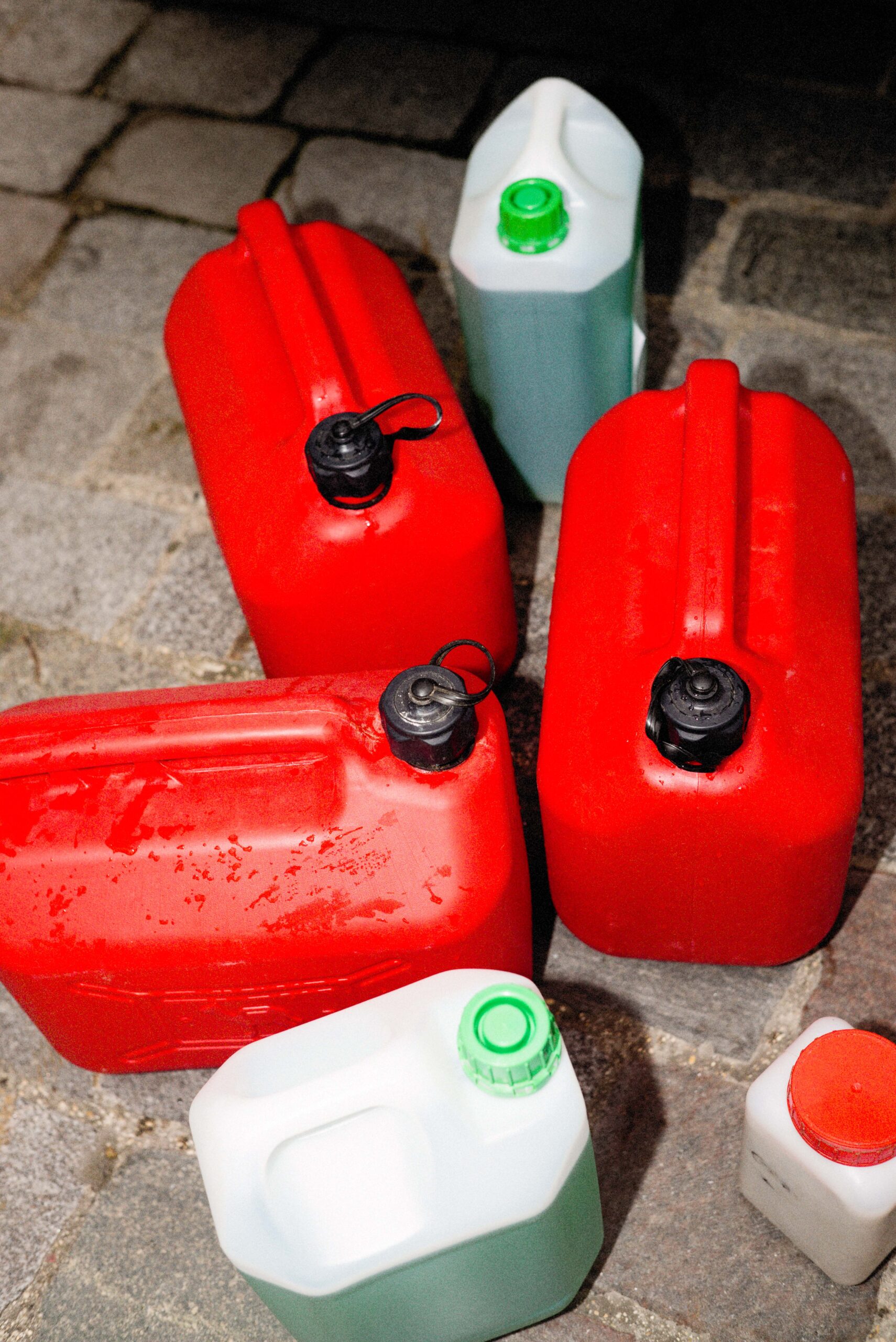 1548355546776-201901_vice_deratisation_9233-Modifier