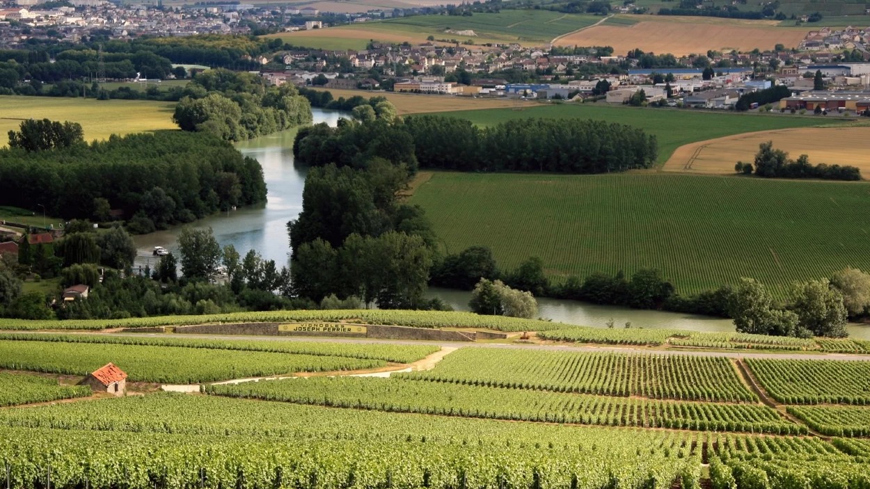 1549474980754-1549391157407-Champagne_Vineyard