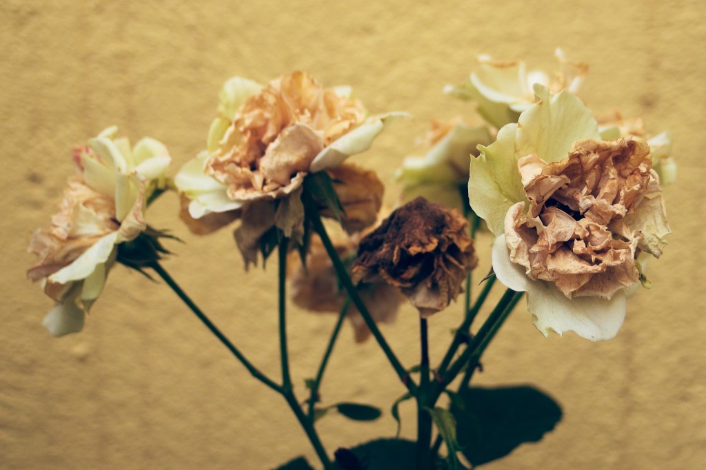 i'll bring you flowers / in at ten to midnight