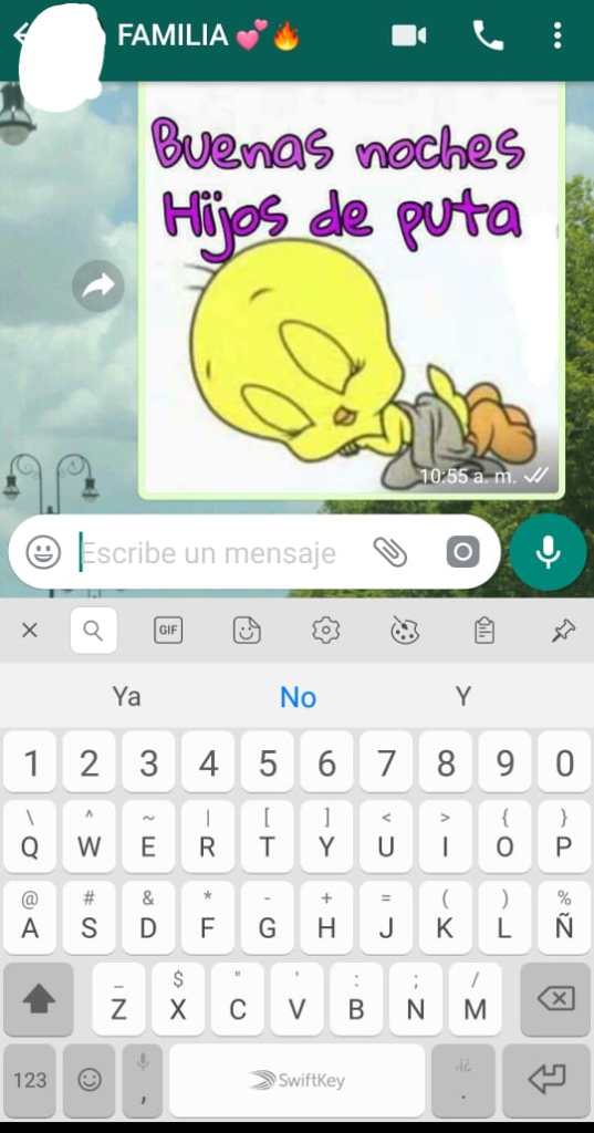 WhatsApp Image 2019-02-21 at 10