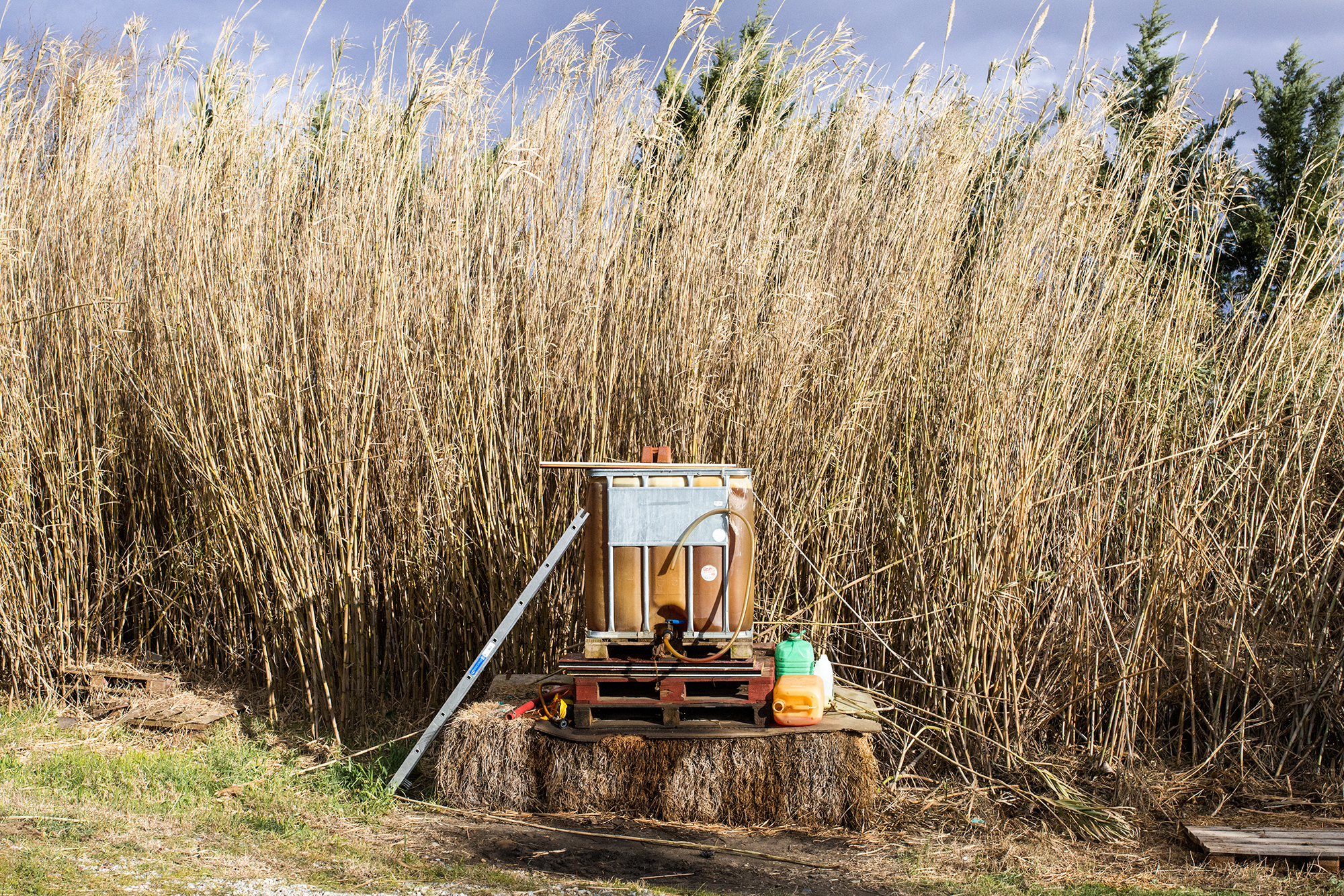 1551180104336-02-Ferme-de-Bernard-Systeme-de-recuperation-deau-de-pluie