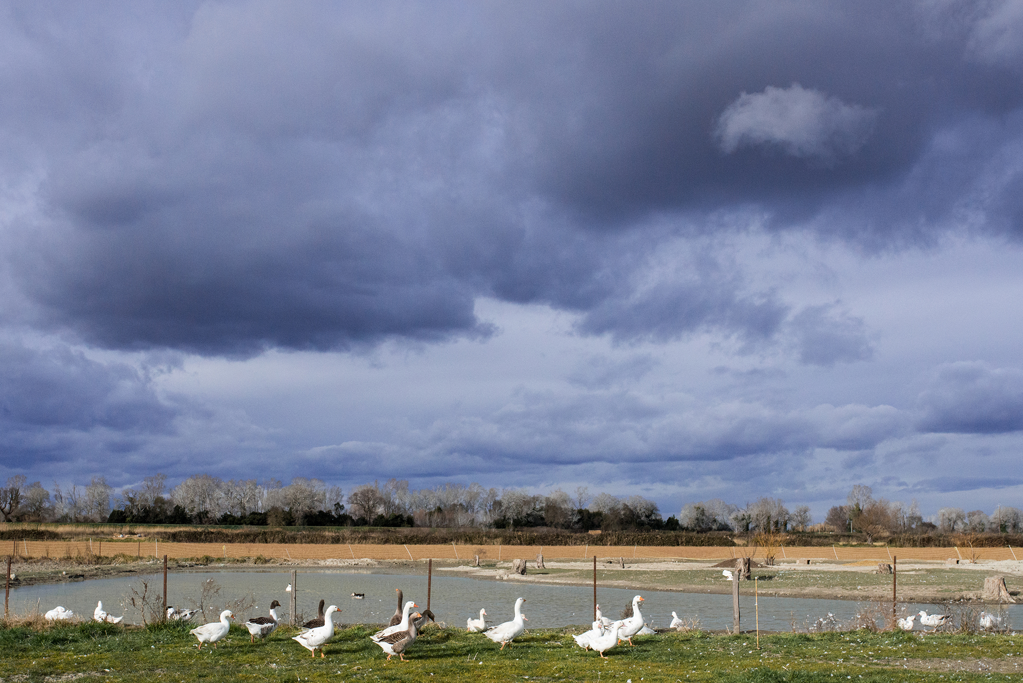 1551180327175-02-Ferme-de-Bernard-Son-lac-realise-par-lui-meme