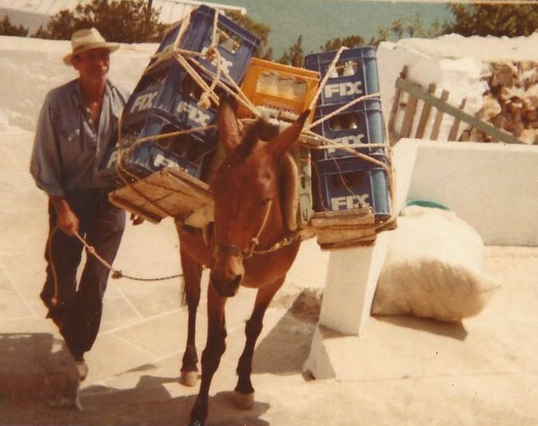 1553260529367-46361190_196376454611606_2052203857282334720_n