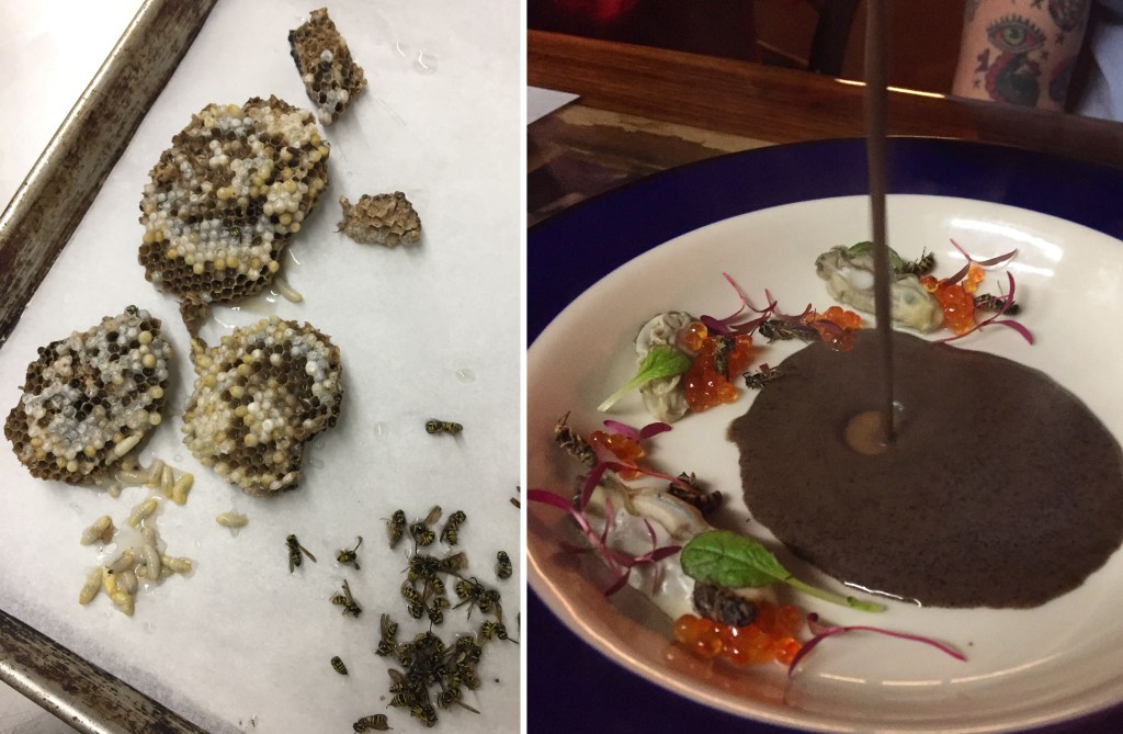 yellowjacket soup header