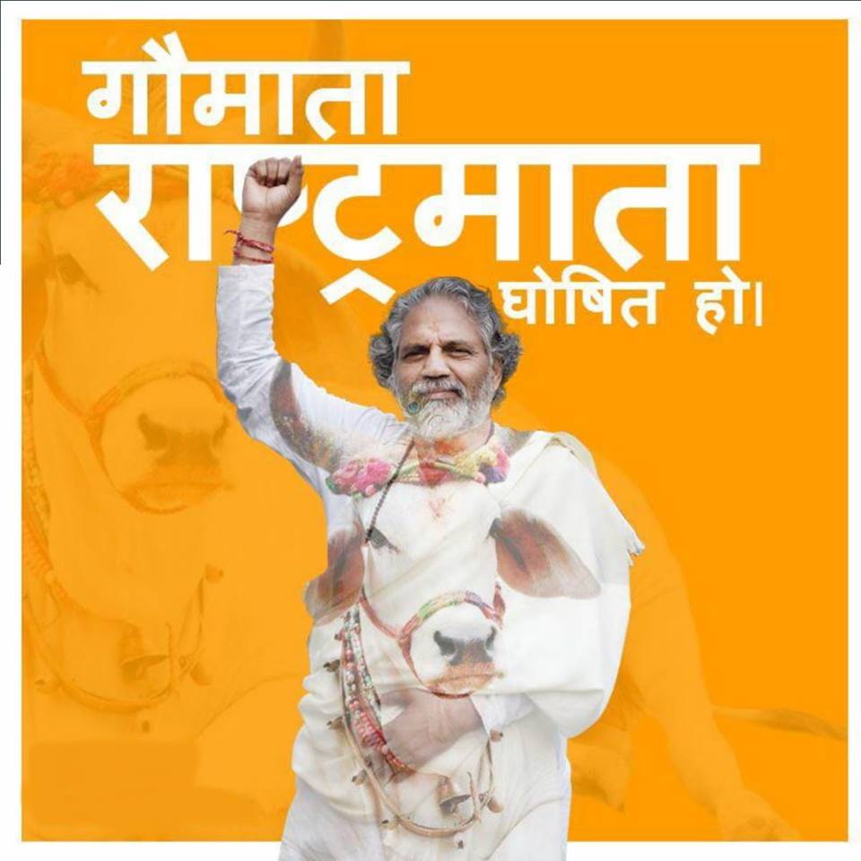 1555327018402-57045351_2333148910298230_6339920655781199872_n